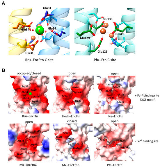 Biomolecules 14 00624 g006