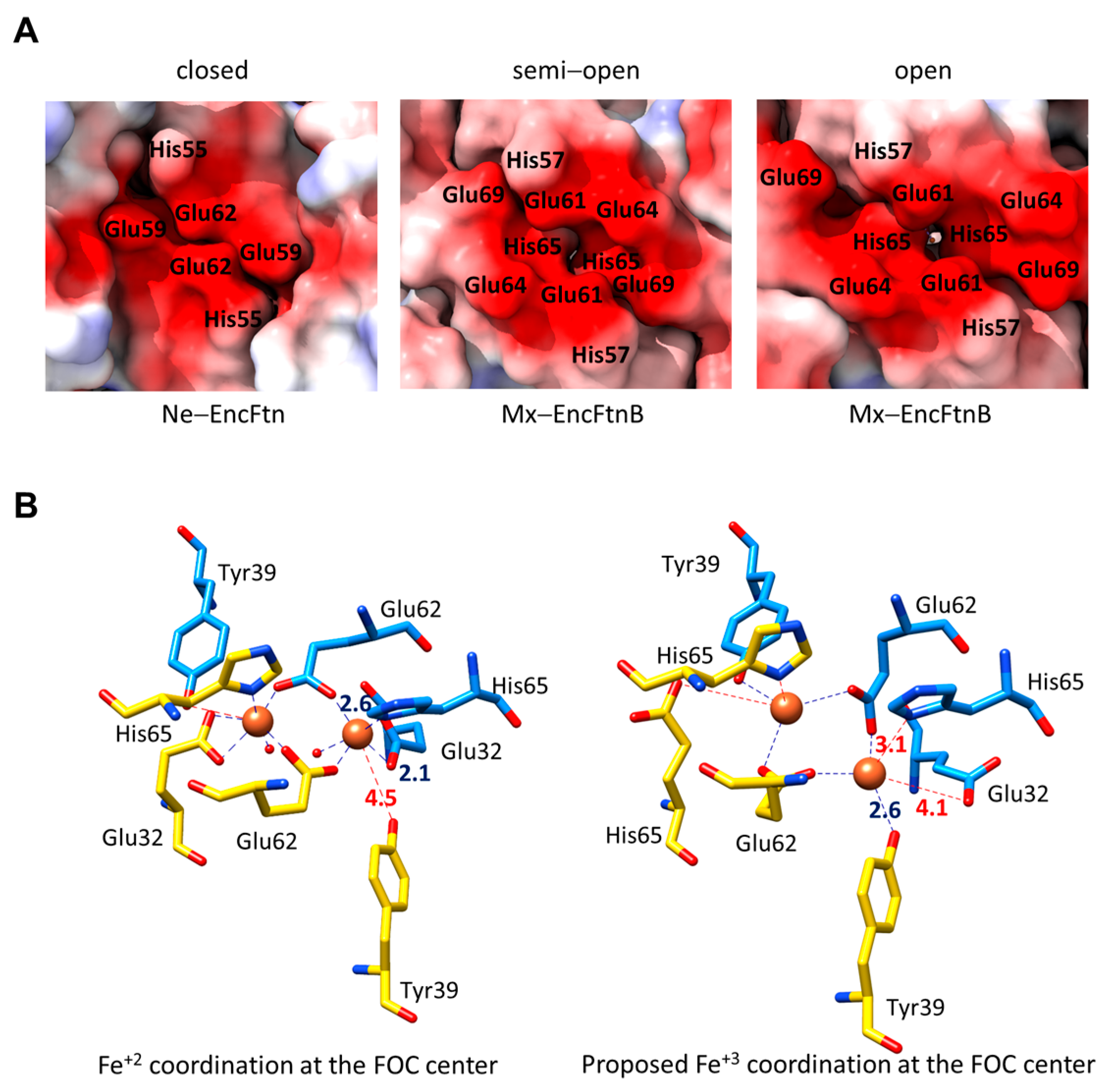 Biomolecules 14 00624 g008