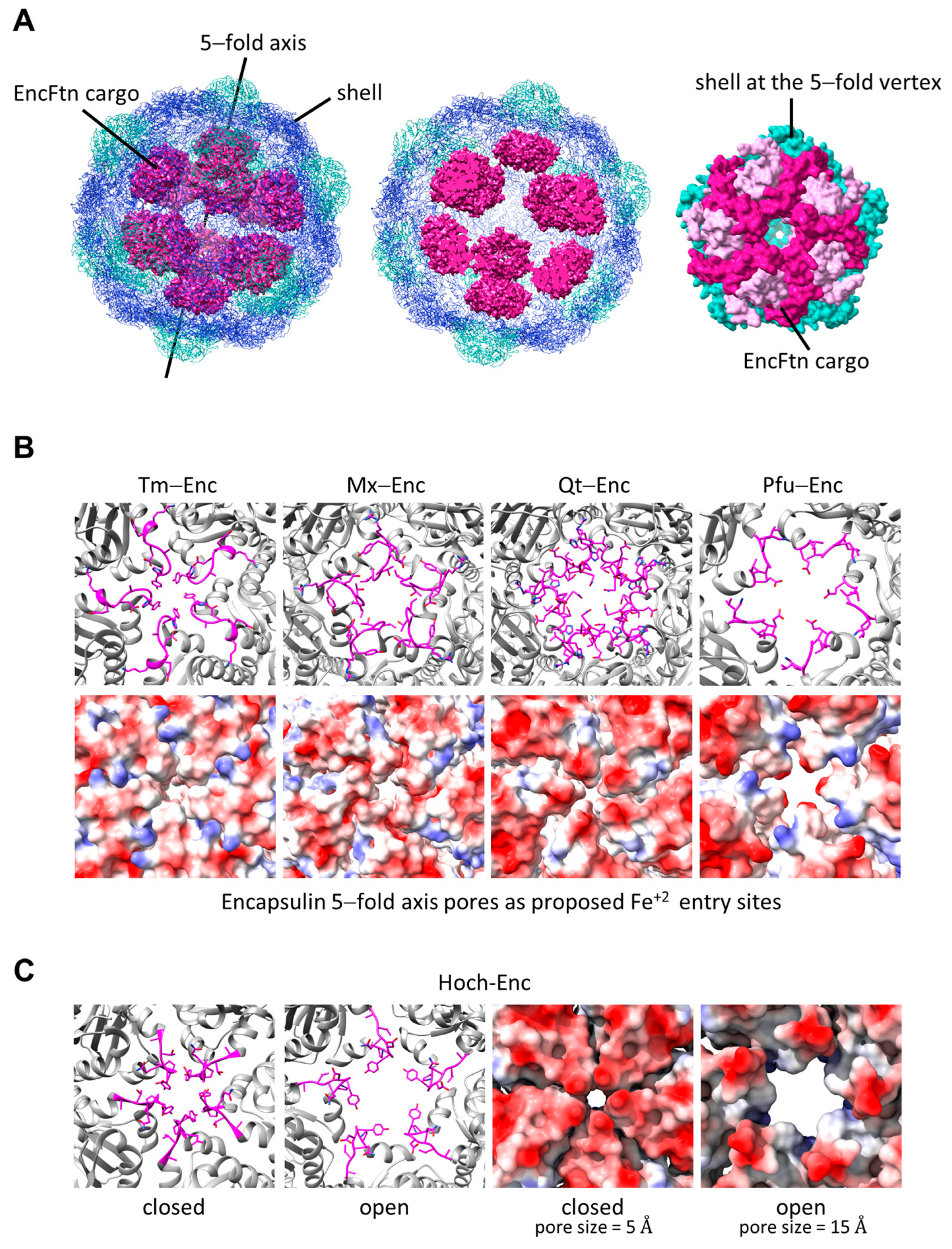Biomolecules 14 00624 g009