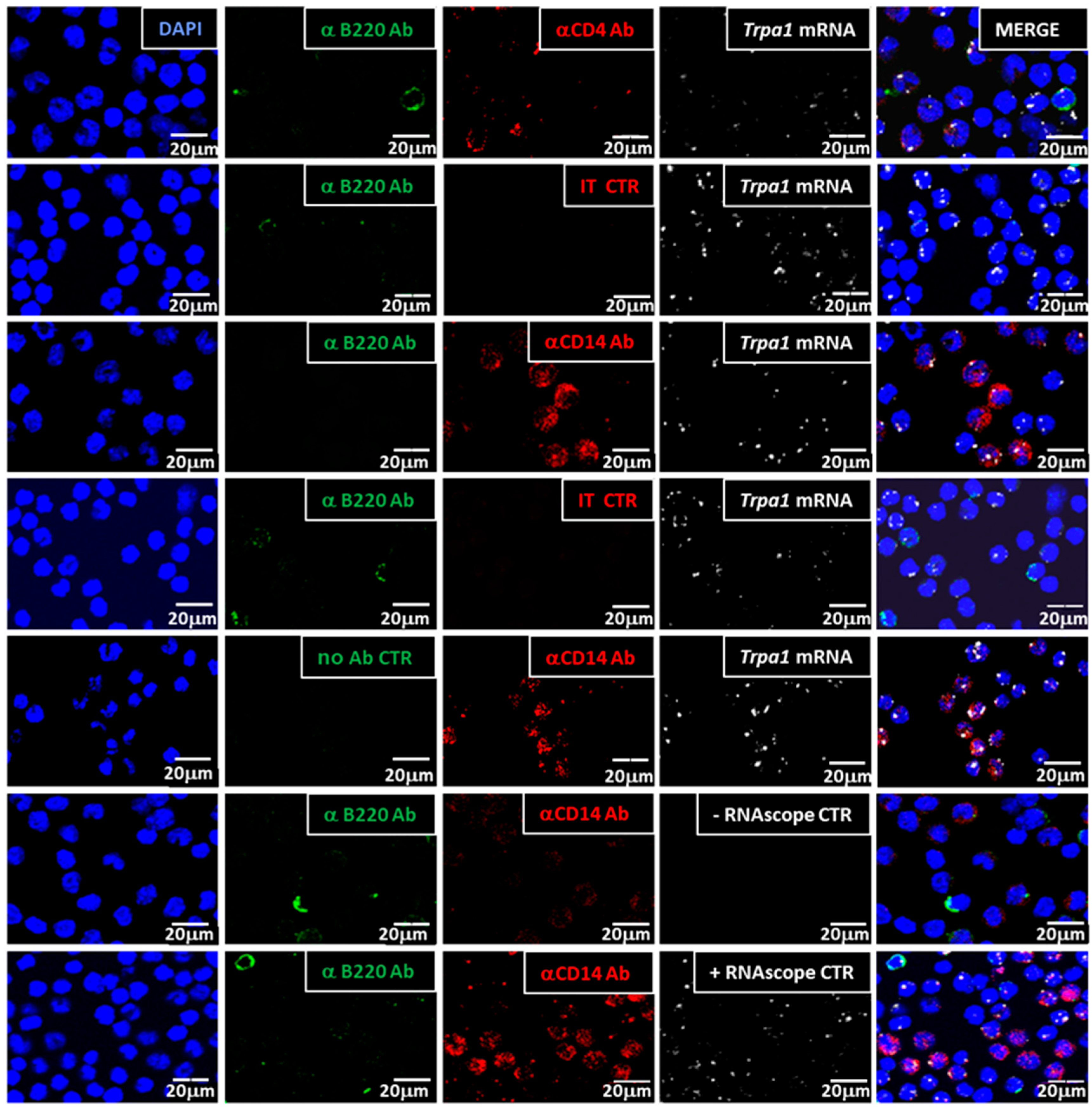 Biomolecules 14 00632 g002 Biomolecules 14 00632 g002