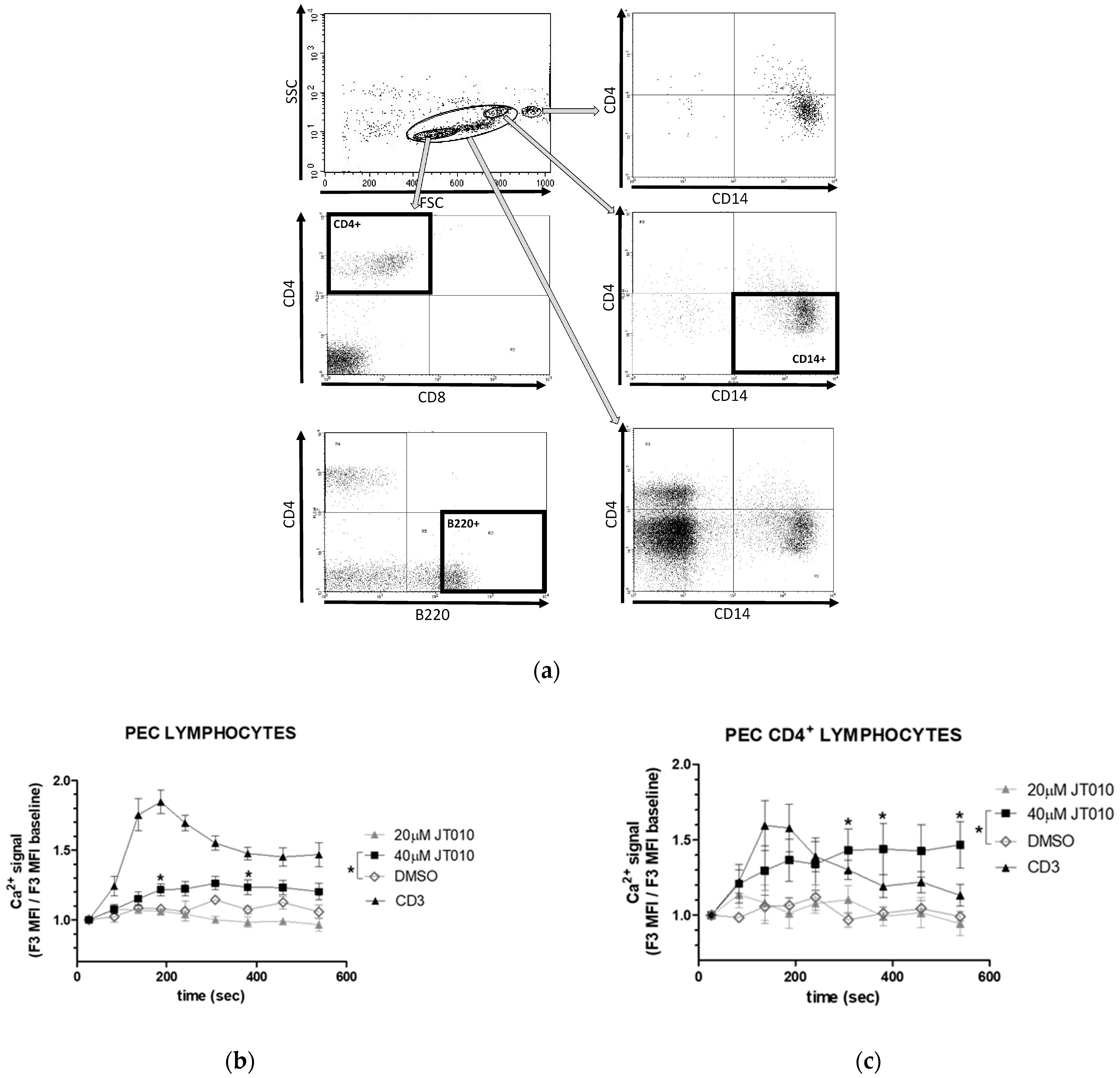 Biomolecules 14 00632 g004a Biomolecules 14 00632 g004a