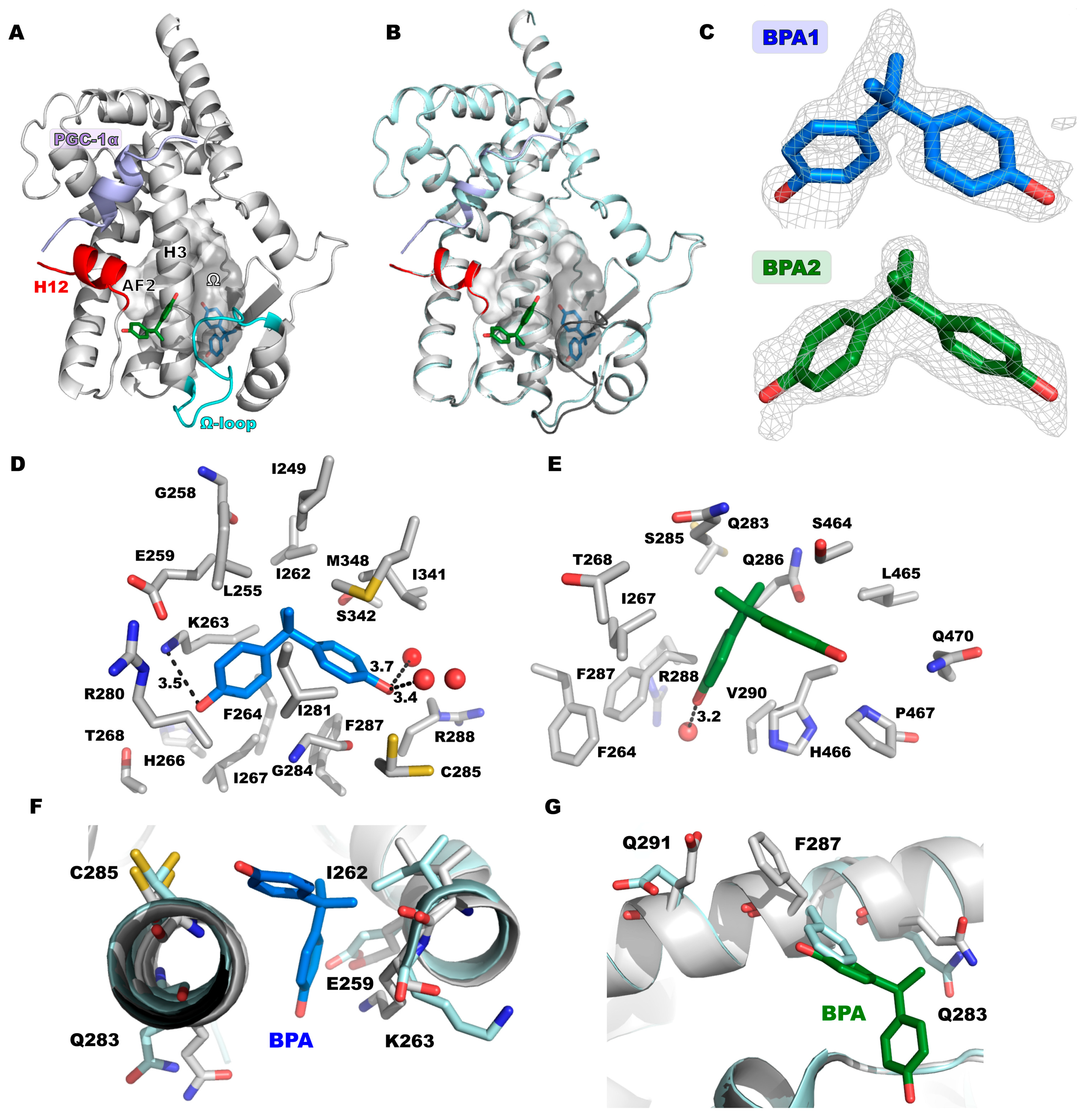 Biomolecules 14 00640 g001