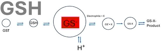 Biomolecules 14 00641 g001