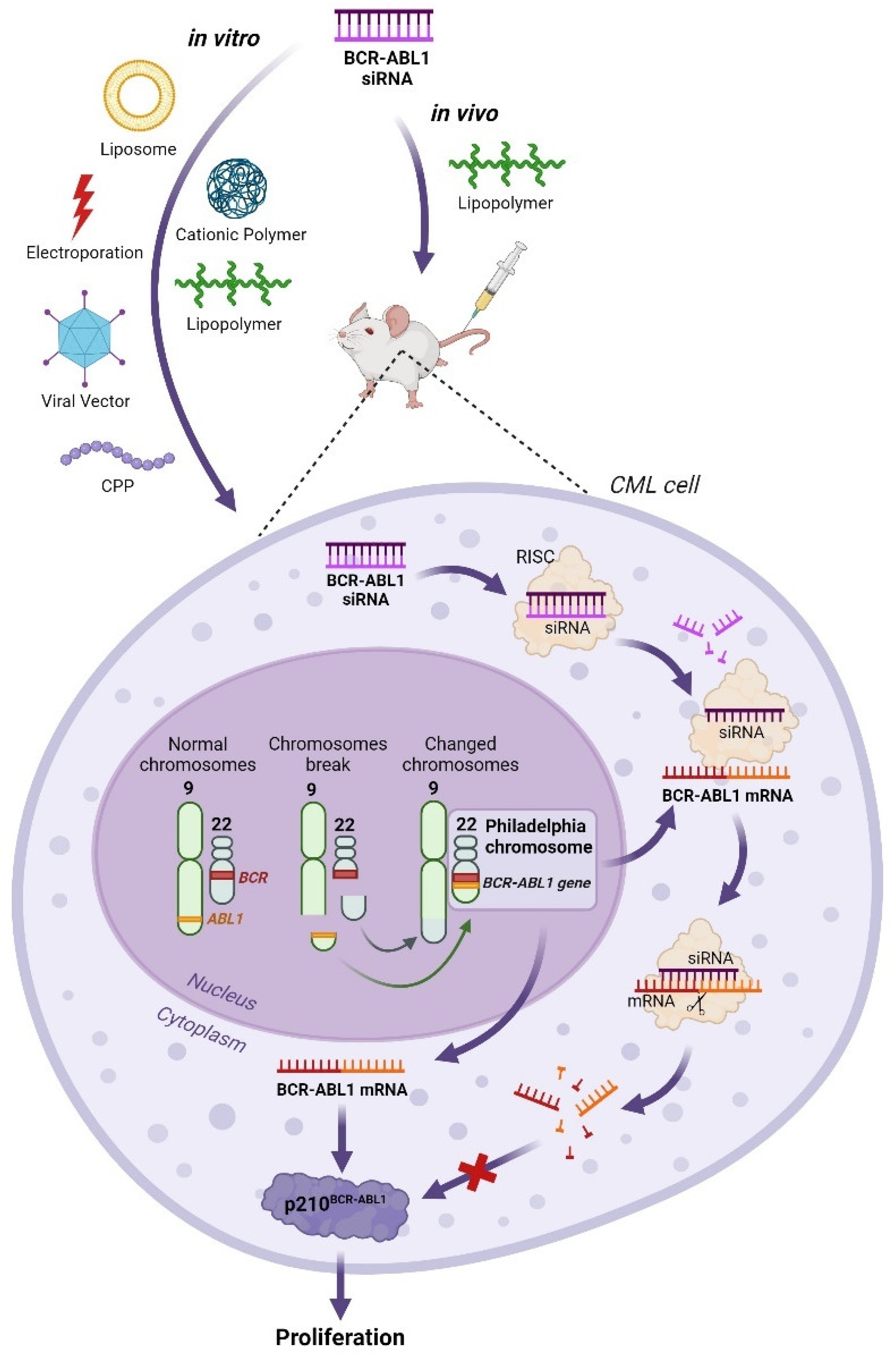 Biomolecules 14 00644 g003