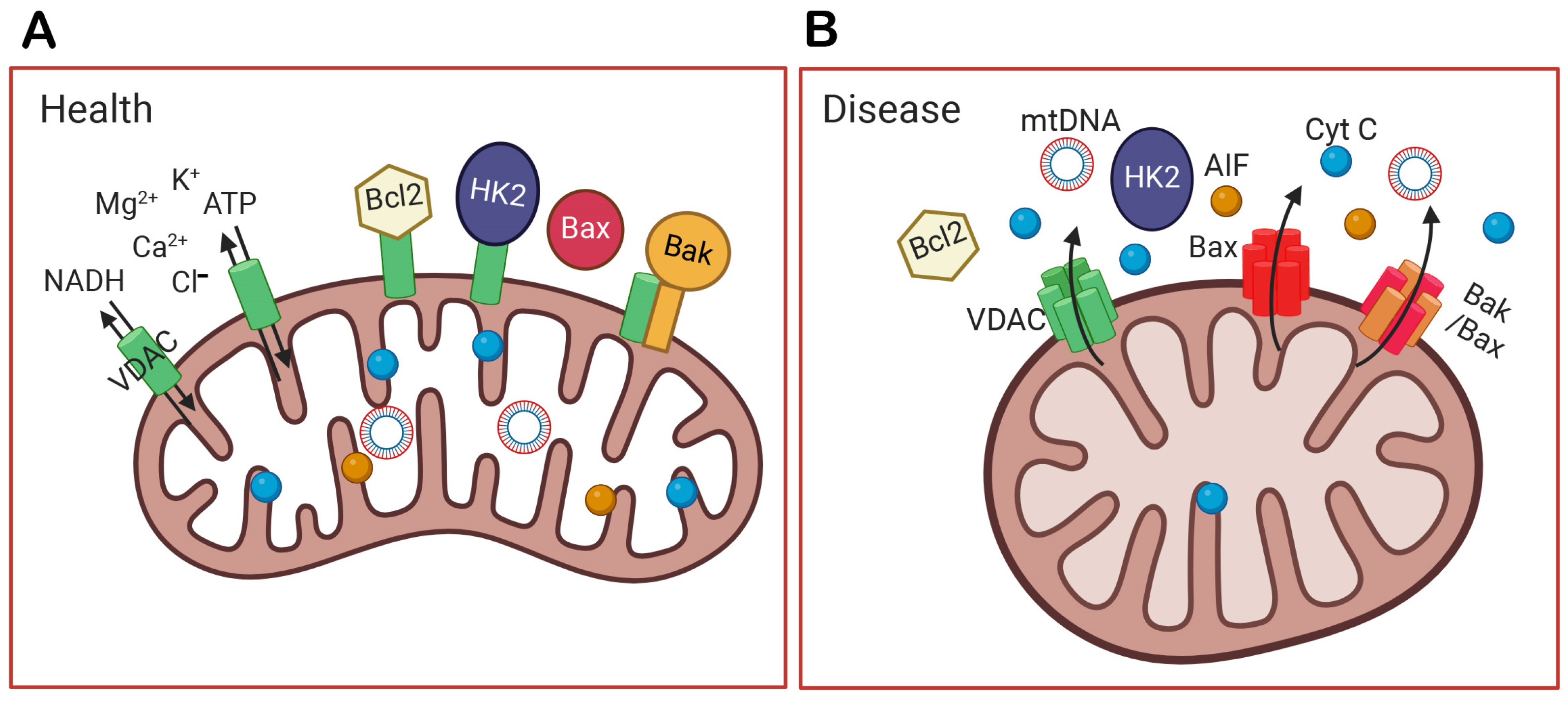 Biomolecules 14 00654 g002