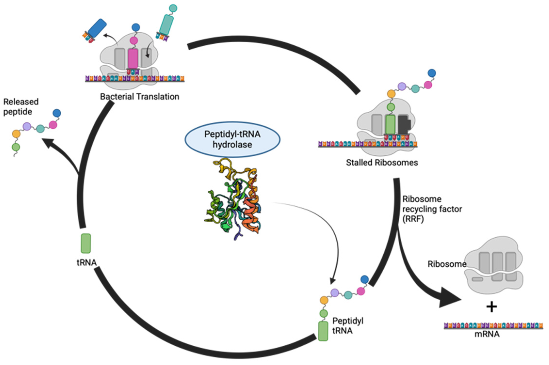 Biomolecules 14 00668 g002 Biomolecules 14 00668 g002