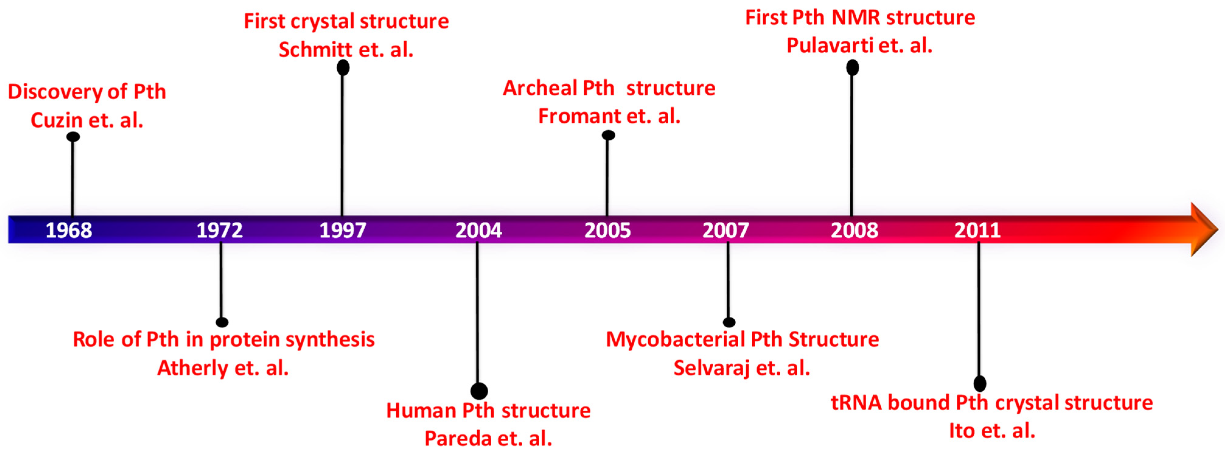 Biomolecules 14 00668 g003 Biomolecules 14 00668 g003