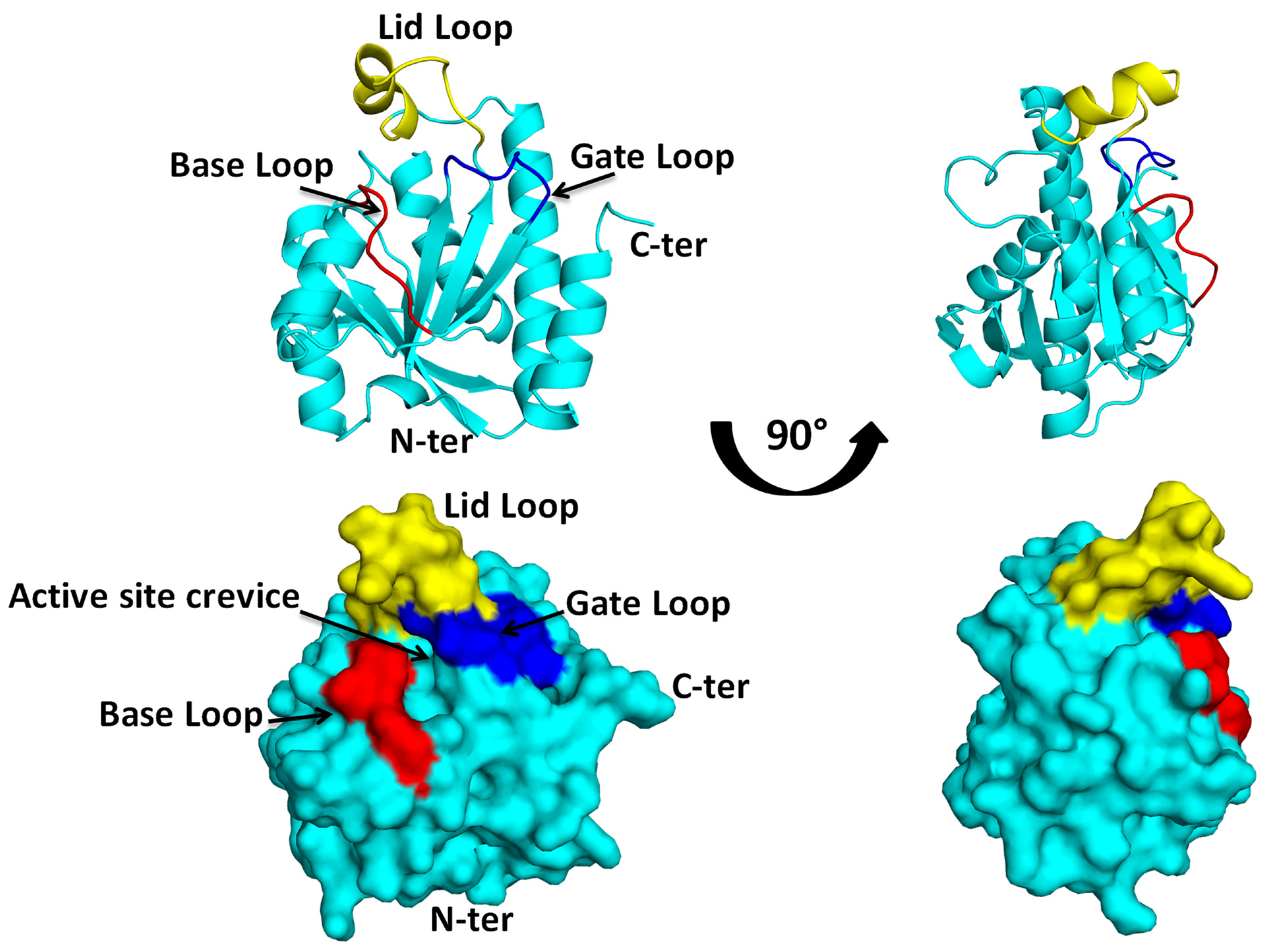 Biomolecules 14 00668 g004 Biomolecules 14 00668 g004