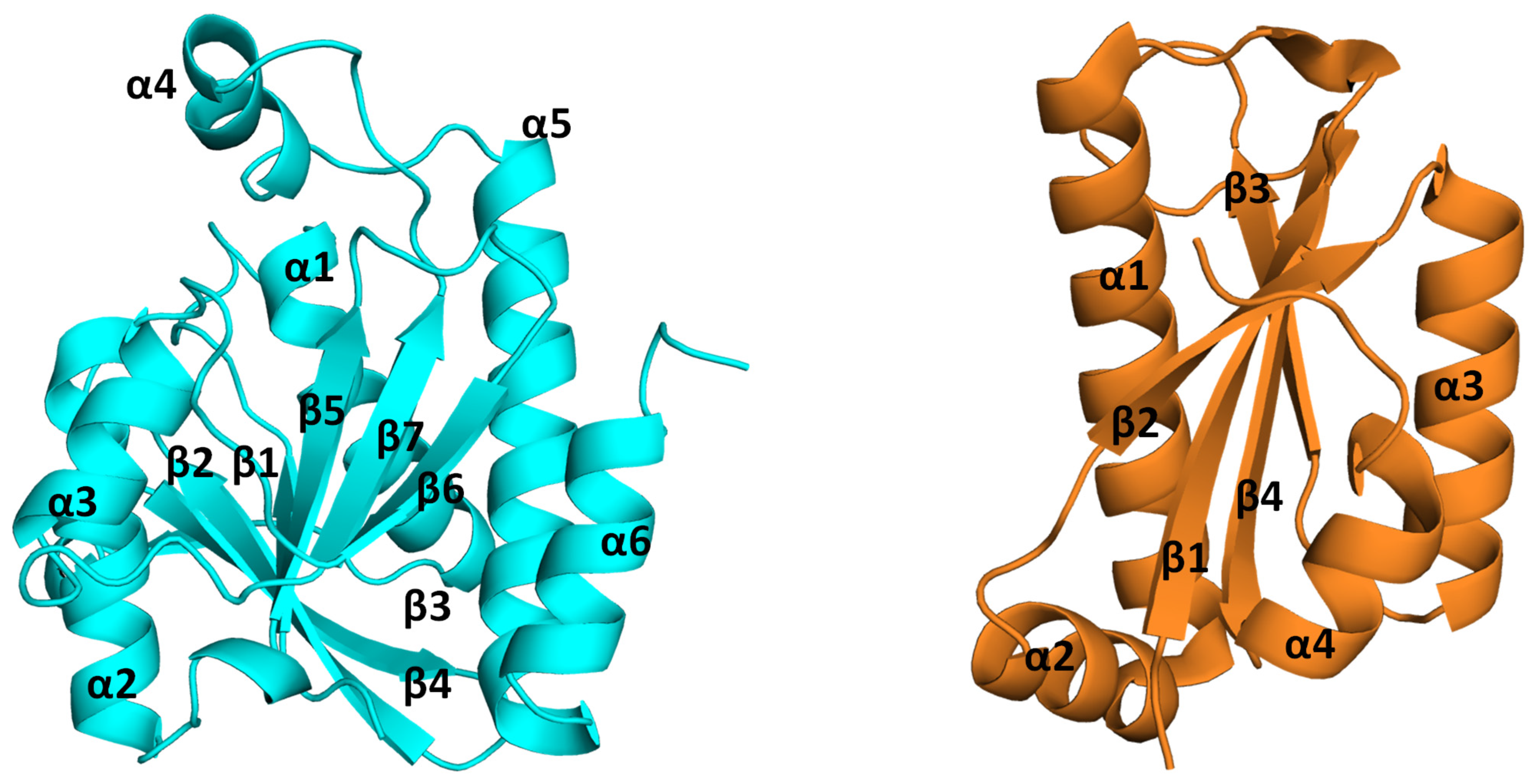 Biomolecules 14 00668 g005 Biomolecules 14 00668 g005