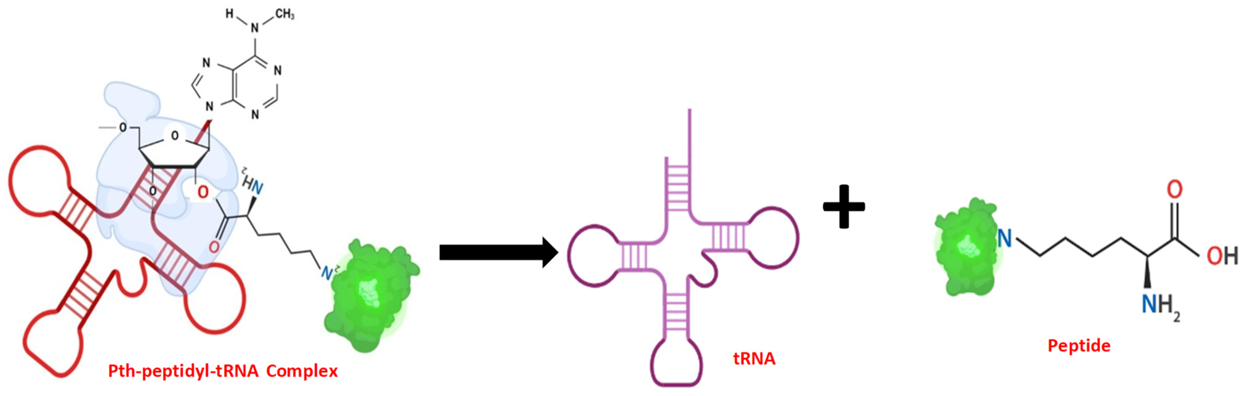 Biomolecules 14 00668 g006 Biomolecules 14 00668 g006