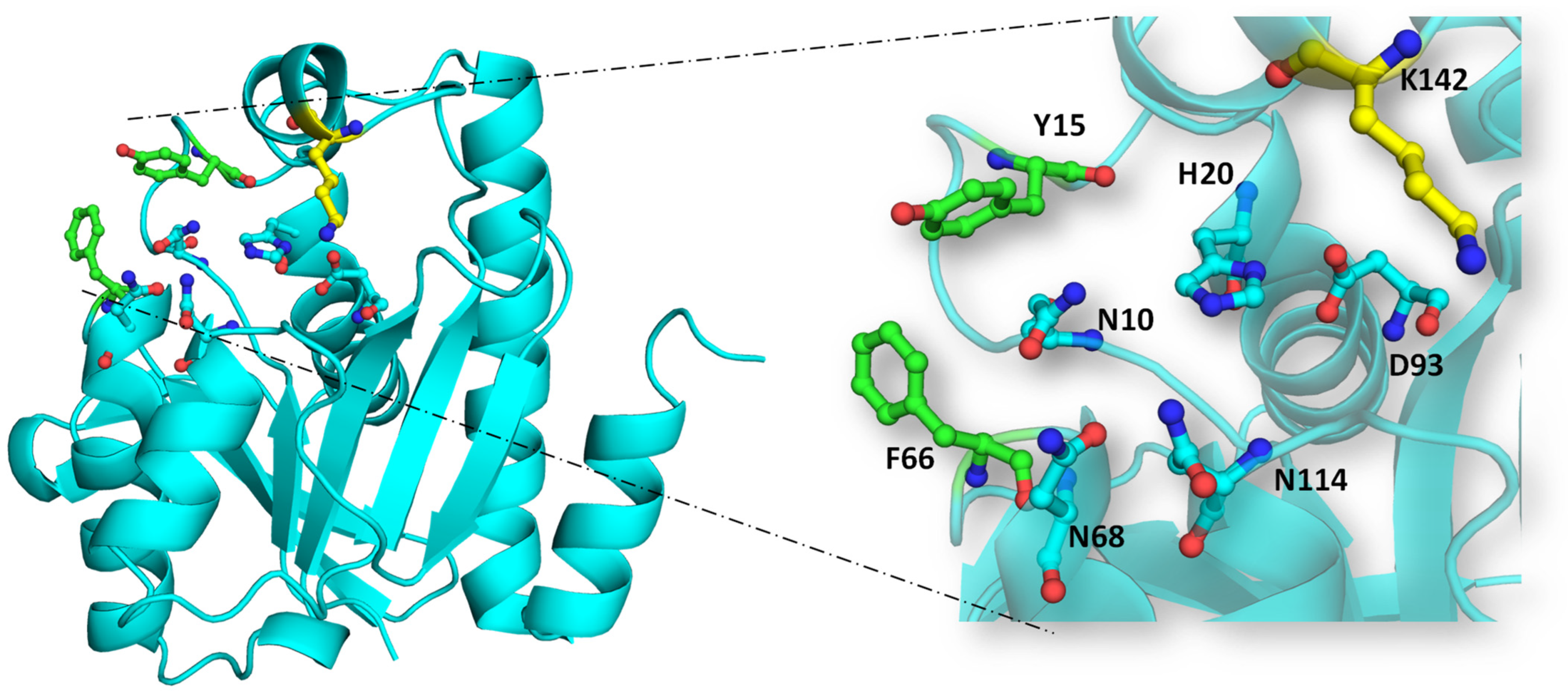 Biomolecules 14 00668 g007 Biomolecules 14 00668 g007