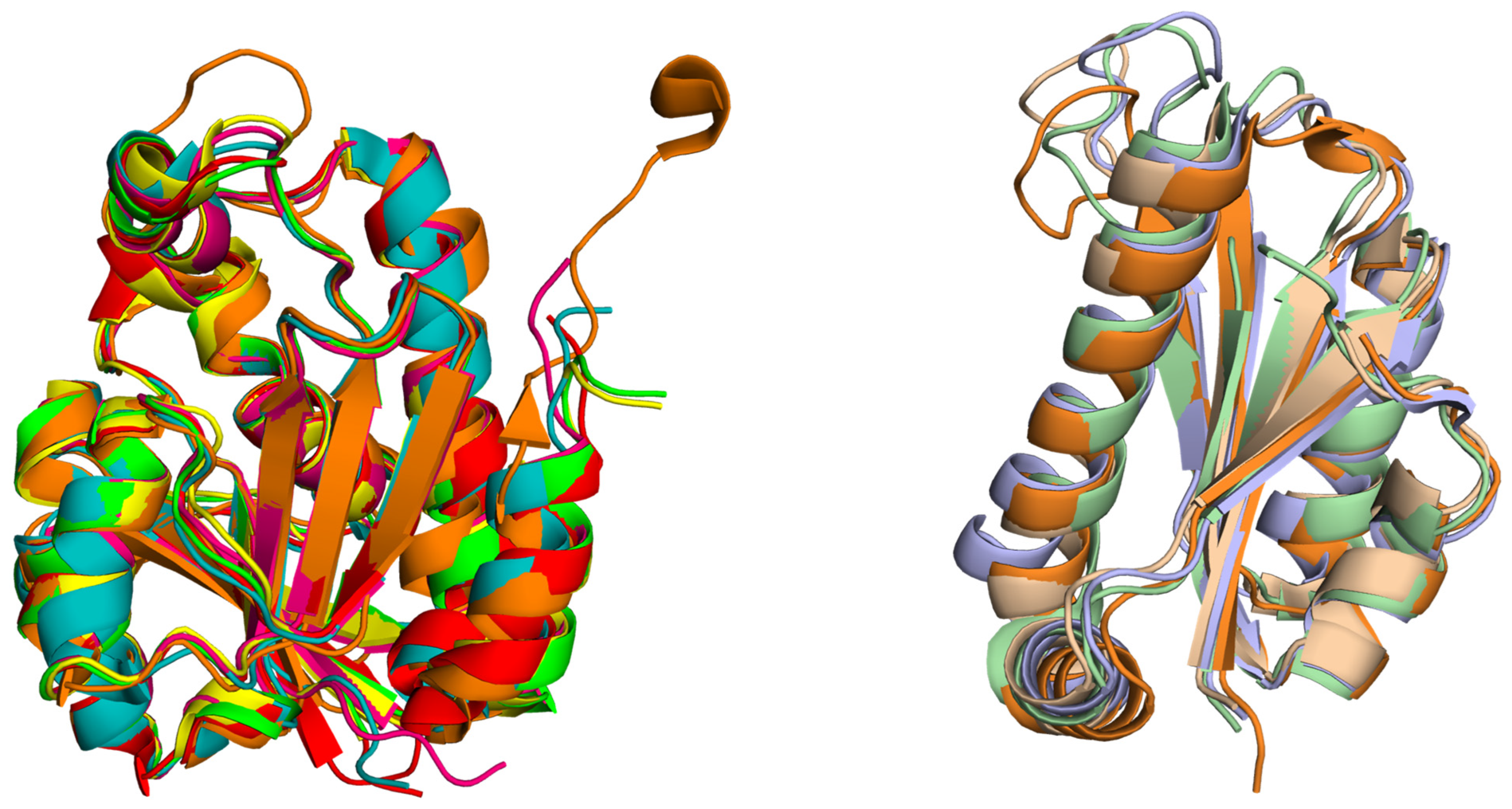 Biomolecules 14 00668 g008 Biomolecules 14 00668 g008