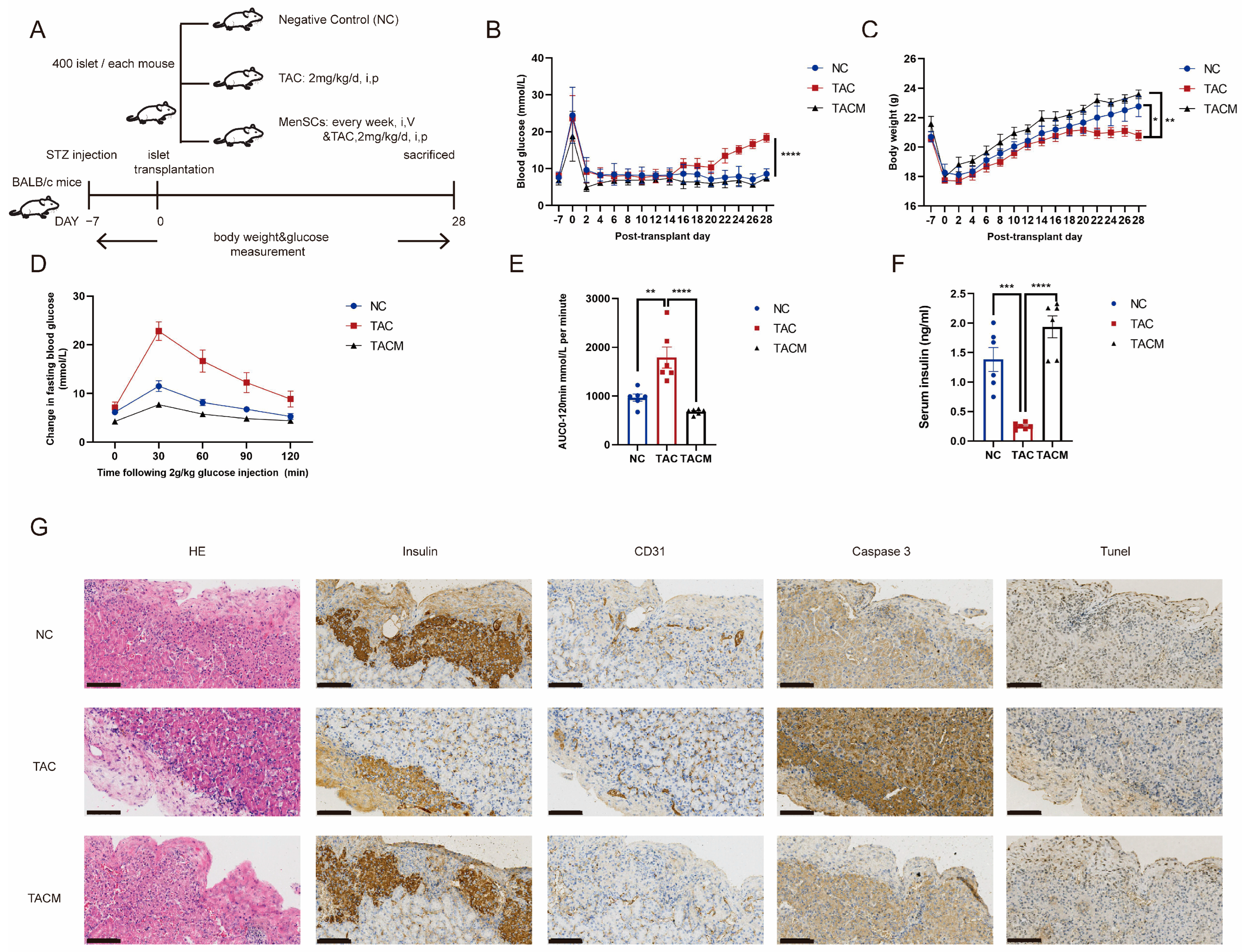 Biomolecules 14 00671 g002