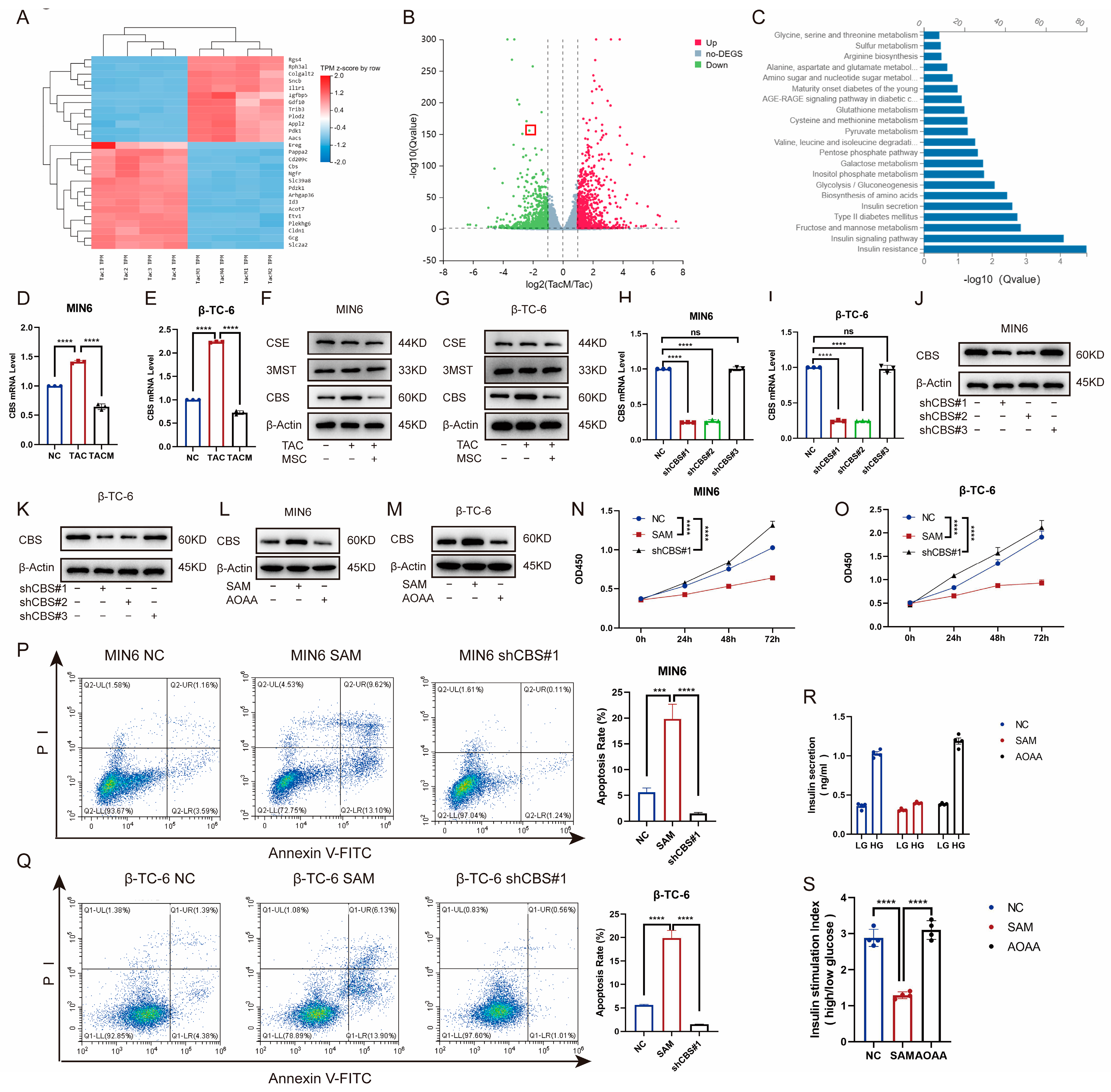 Biomolecules 14 00671 g003