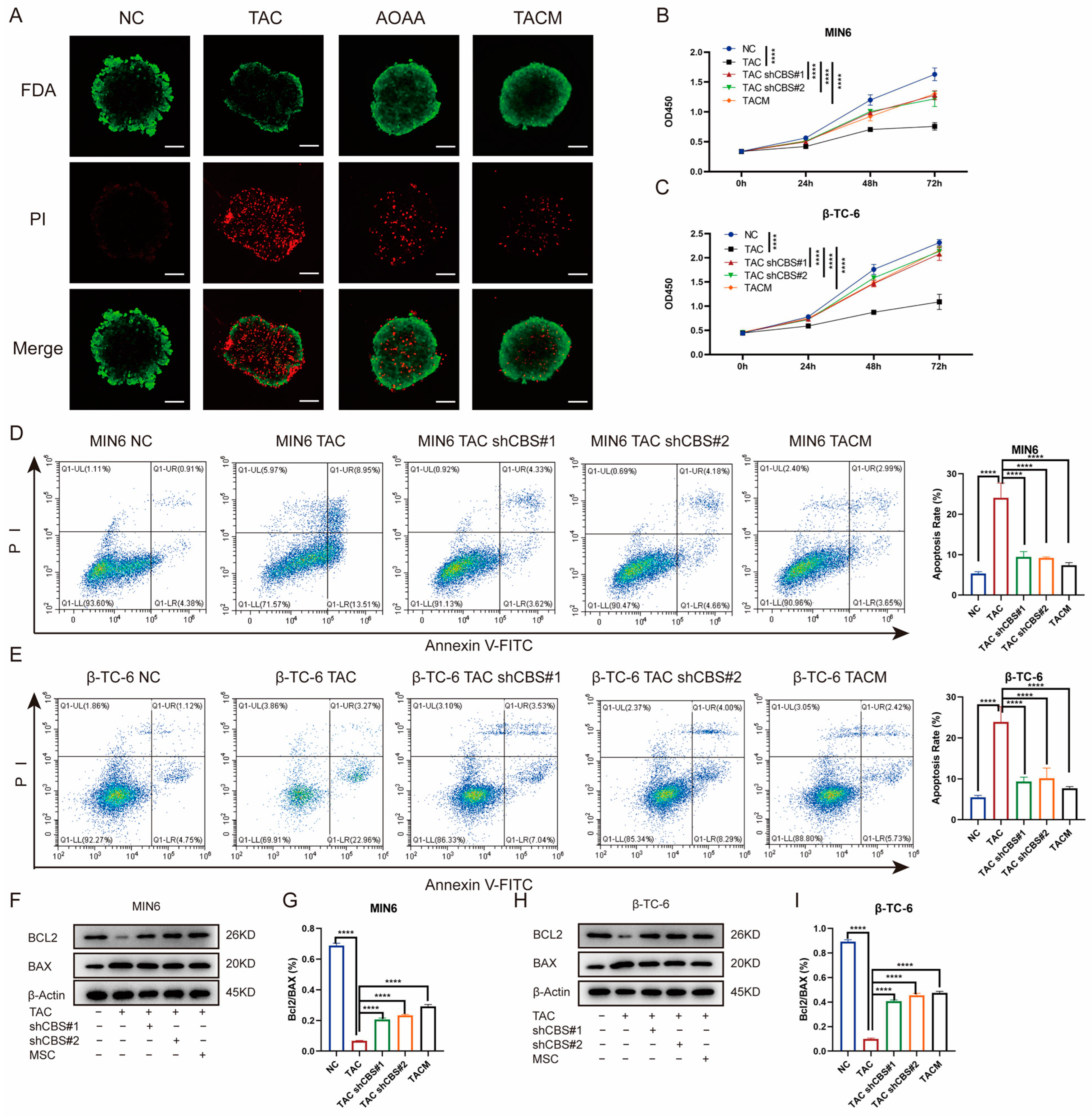 Biomolecules 14 00671 g004