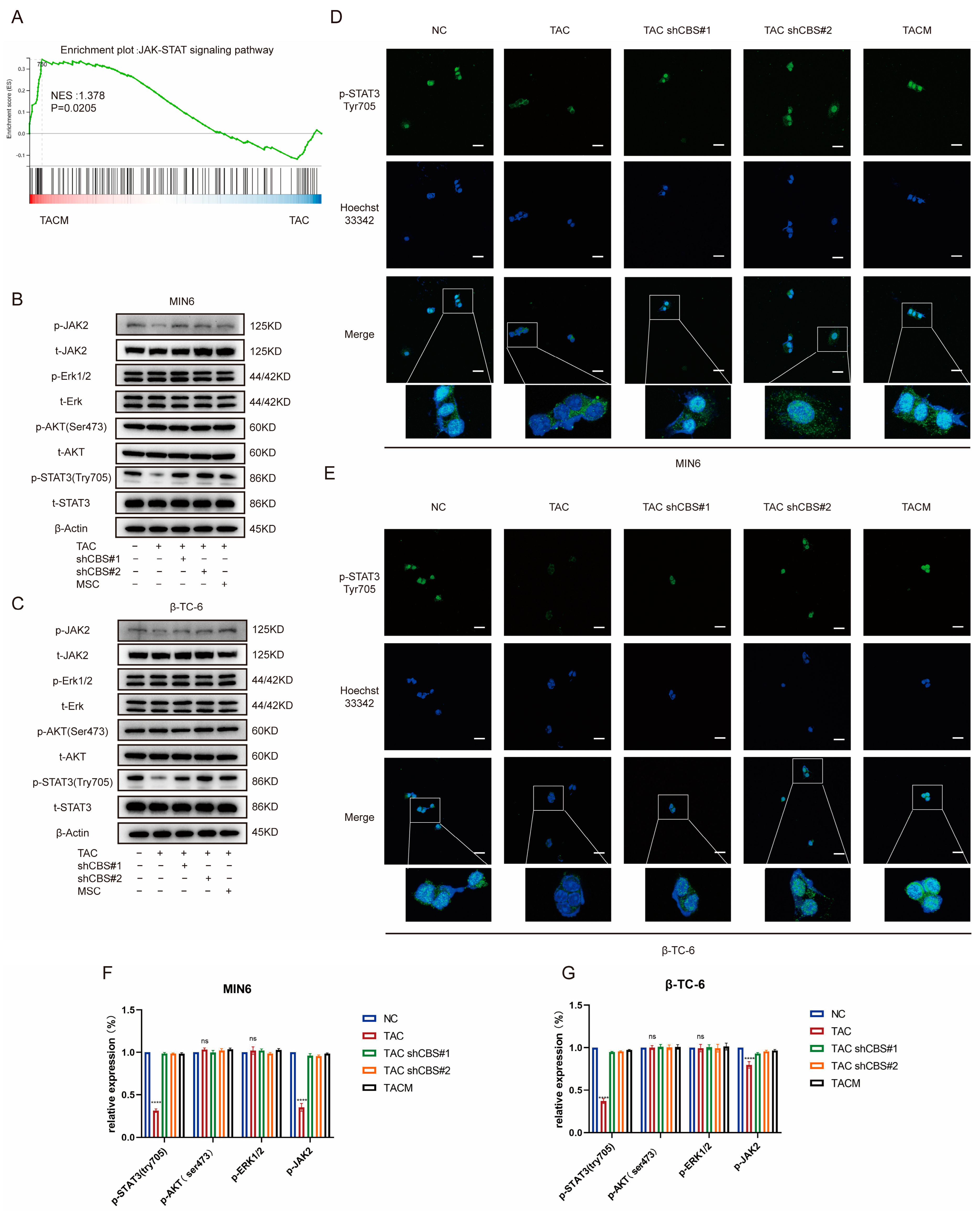 Biomolecules 14 00671 g006