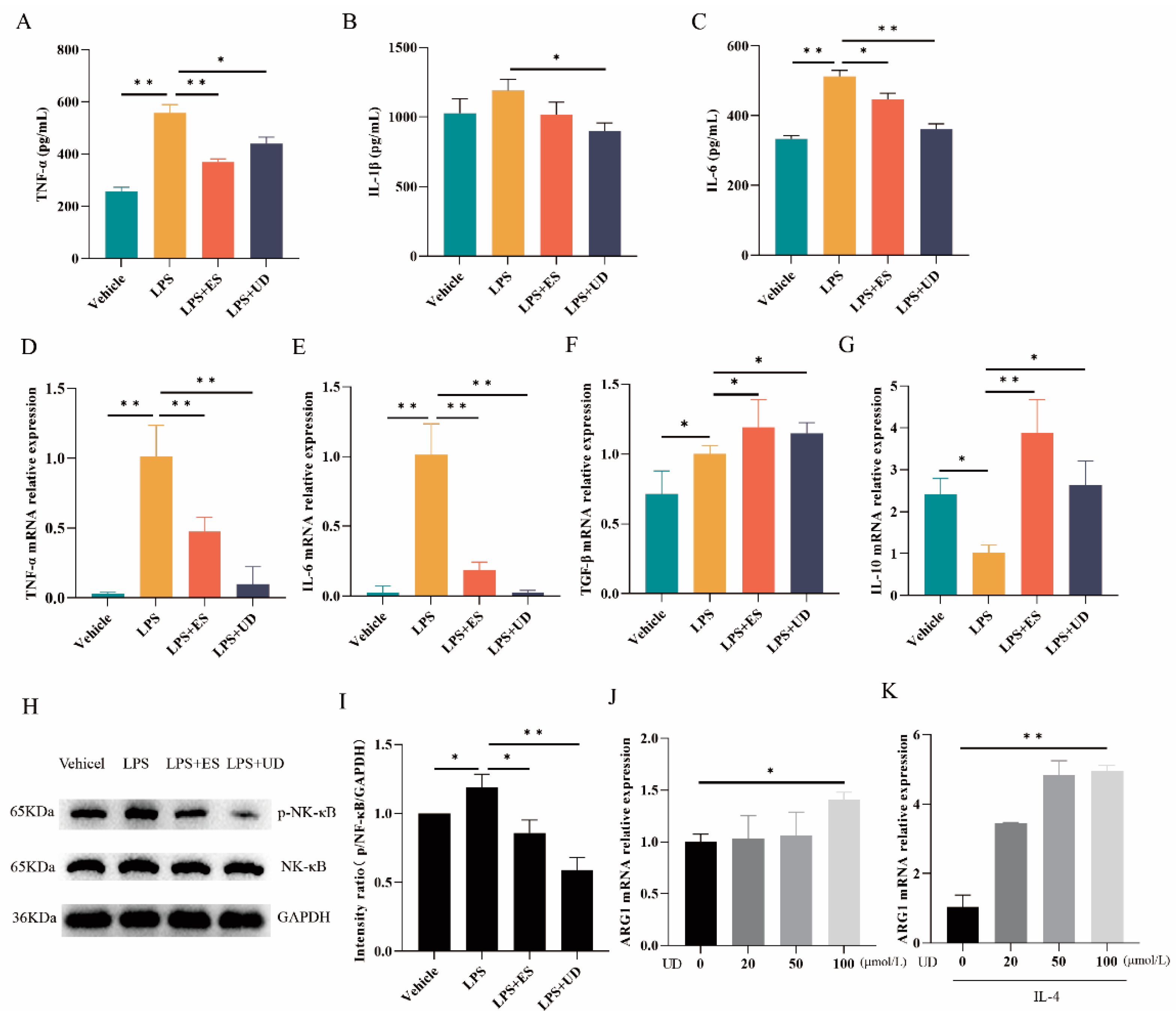 Biomolecules 14 00672 g002 Biomolecules 14 00672 g002