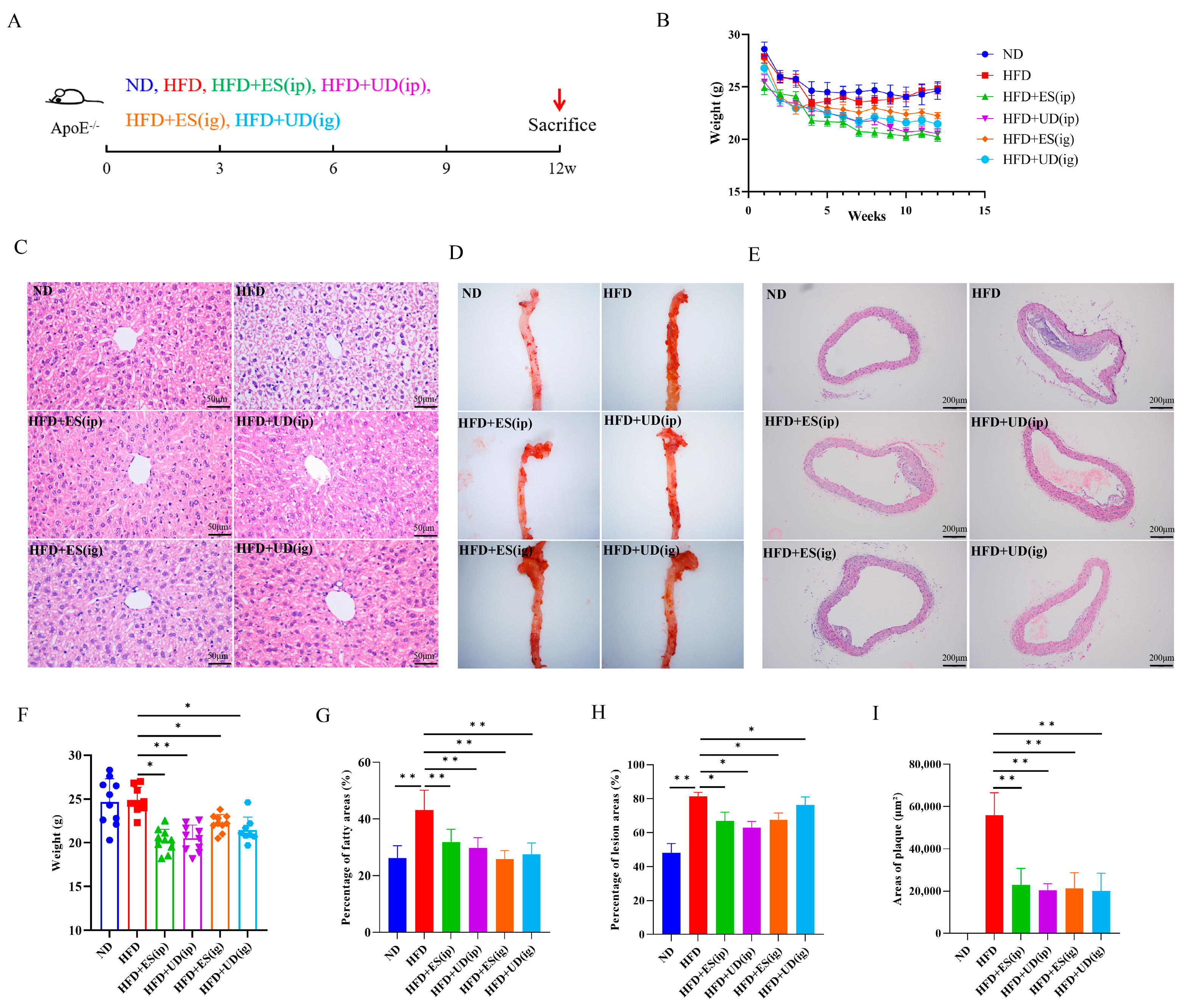 Biomolecules 14 00672 g003 Biomolecules 14 00672 g003