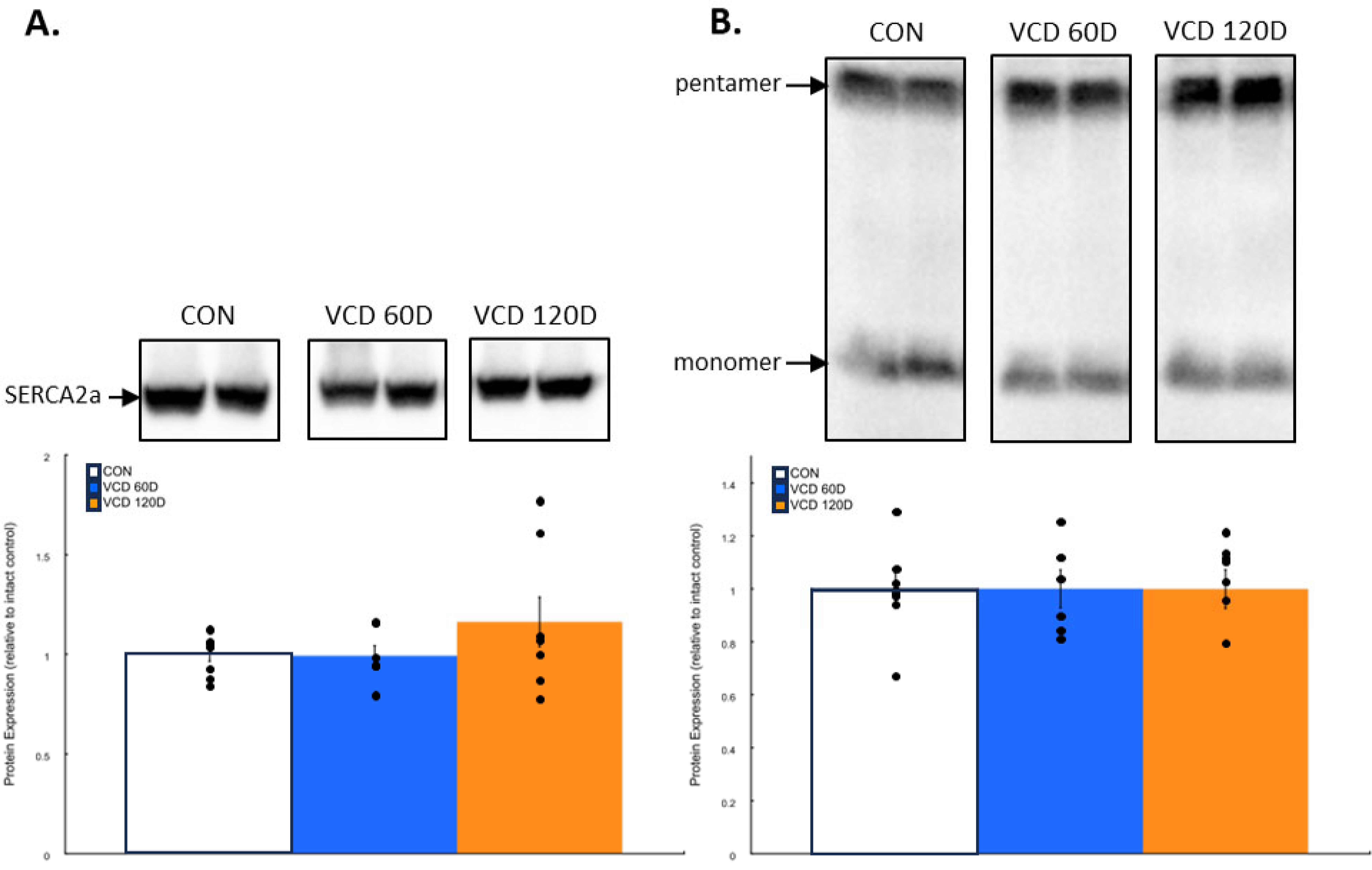 Biomolecules 14 00675 g002