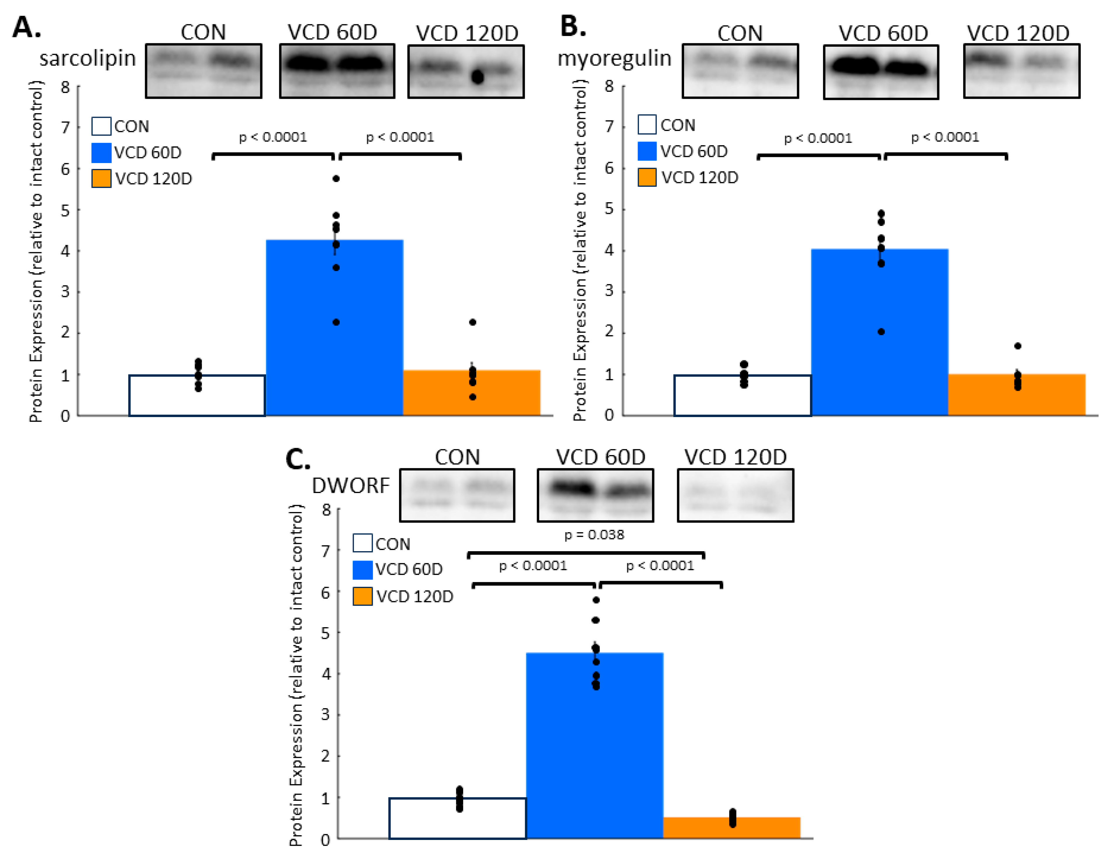 Biomolecules 14 00675 g004