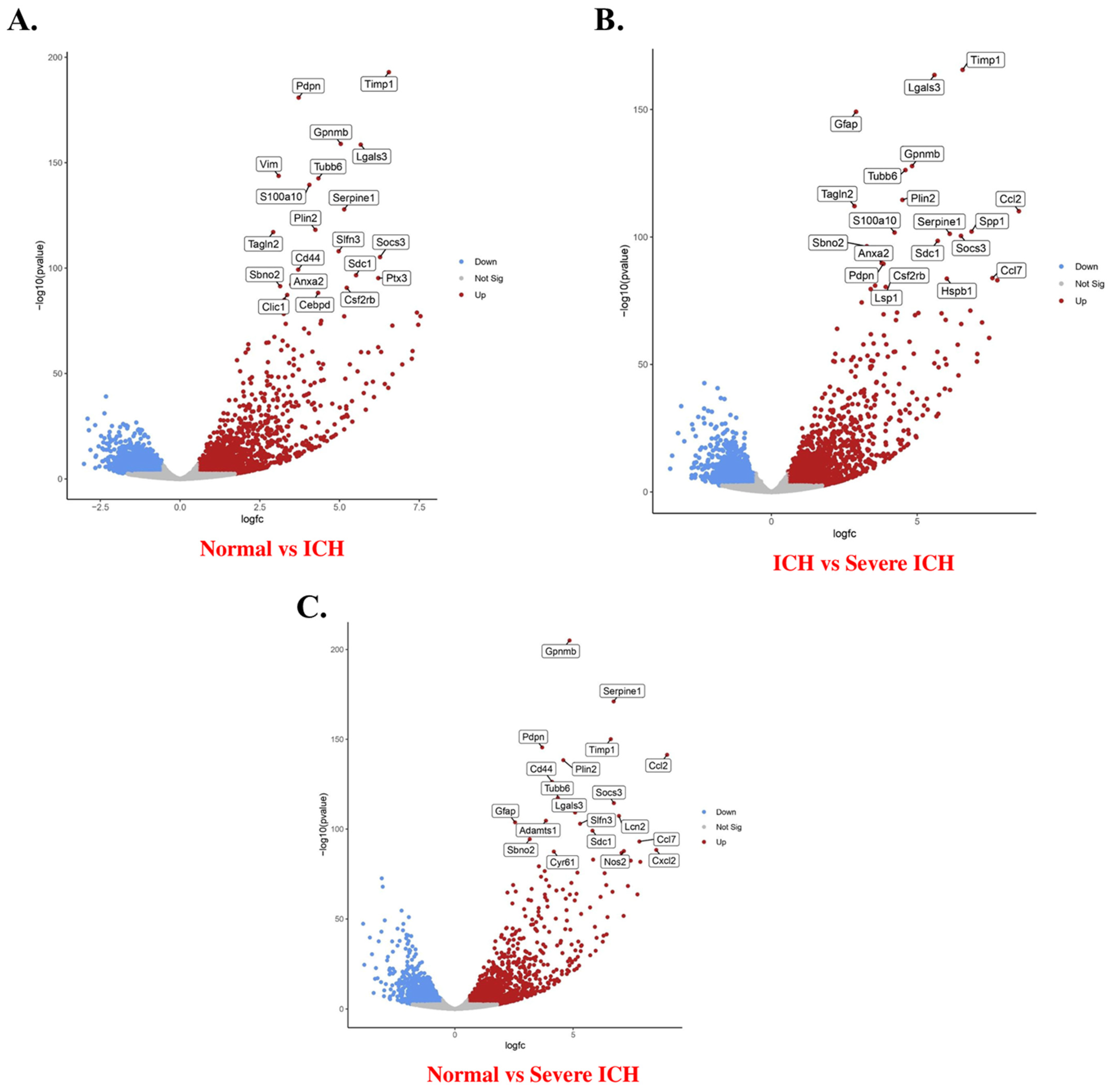 Biomolecules 14 00678 g003