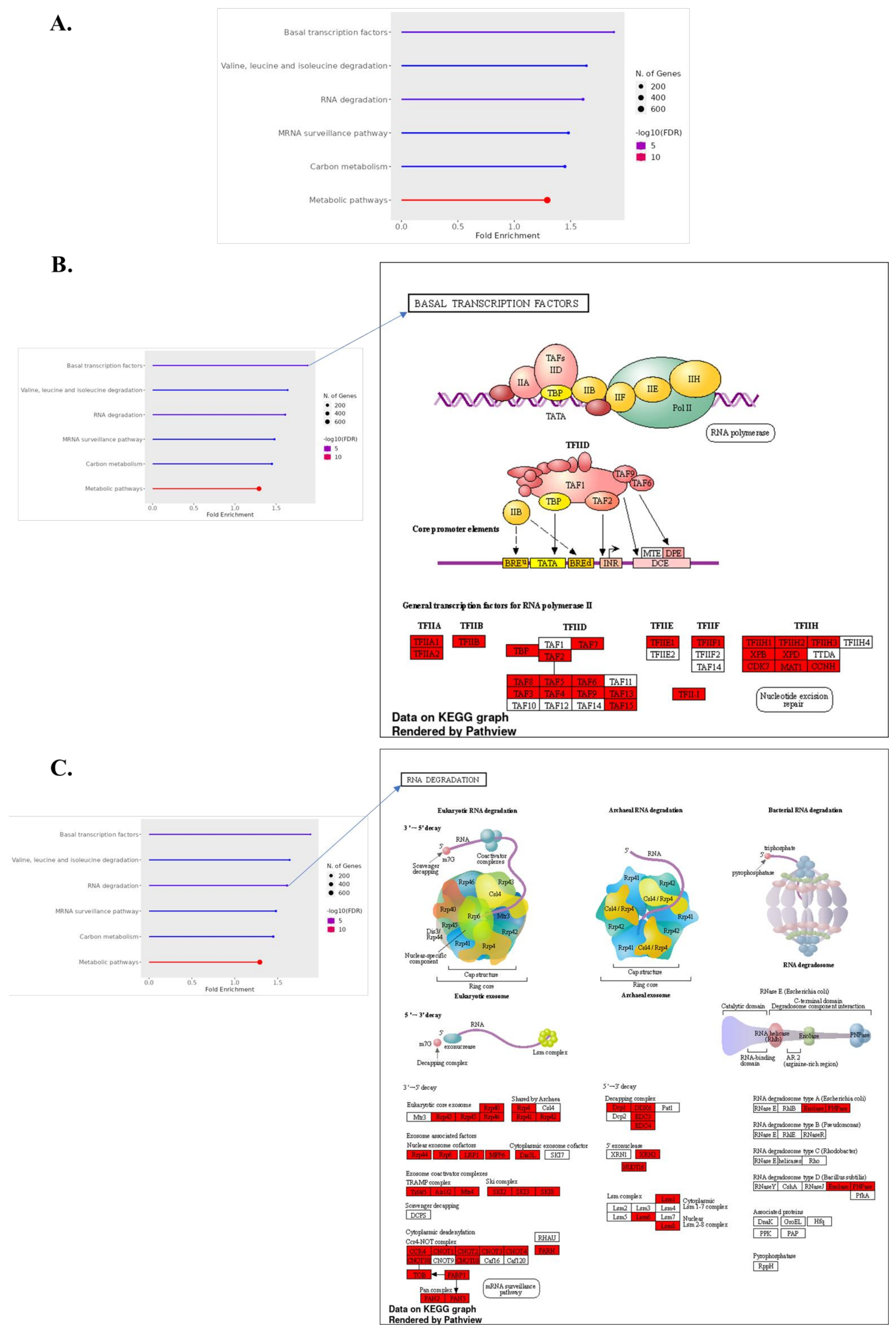 Biomolecules 14 00678 g004