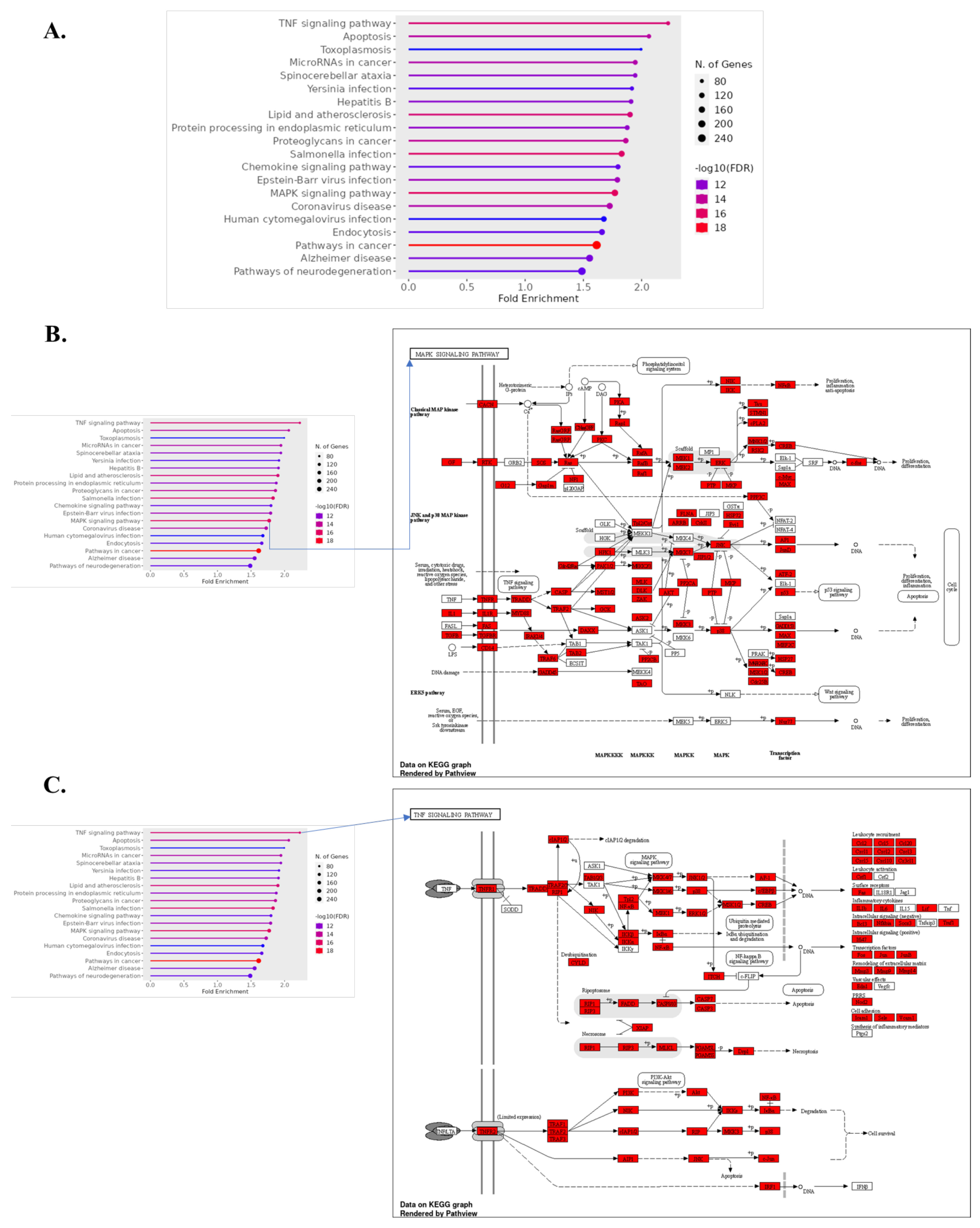 Biomolecules 14 00678 g005
