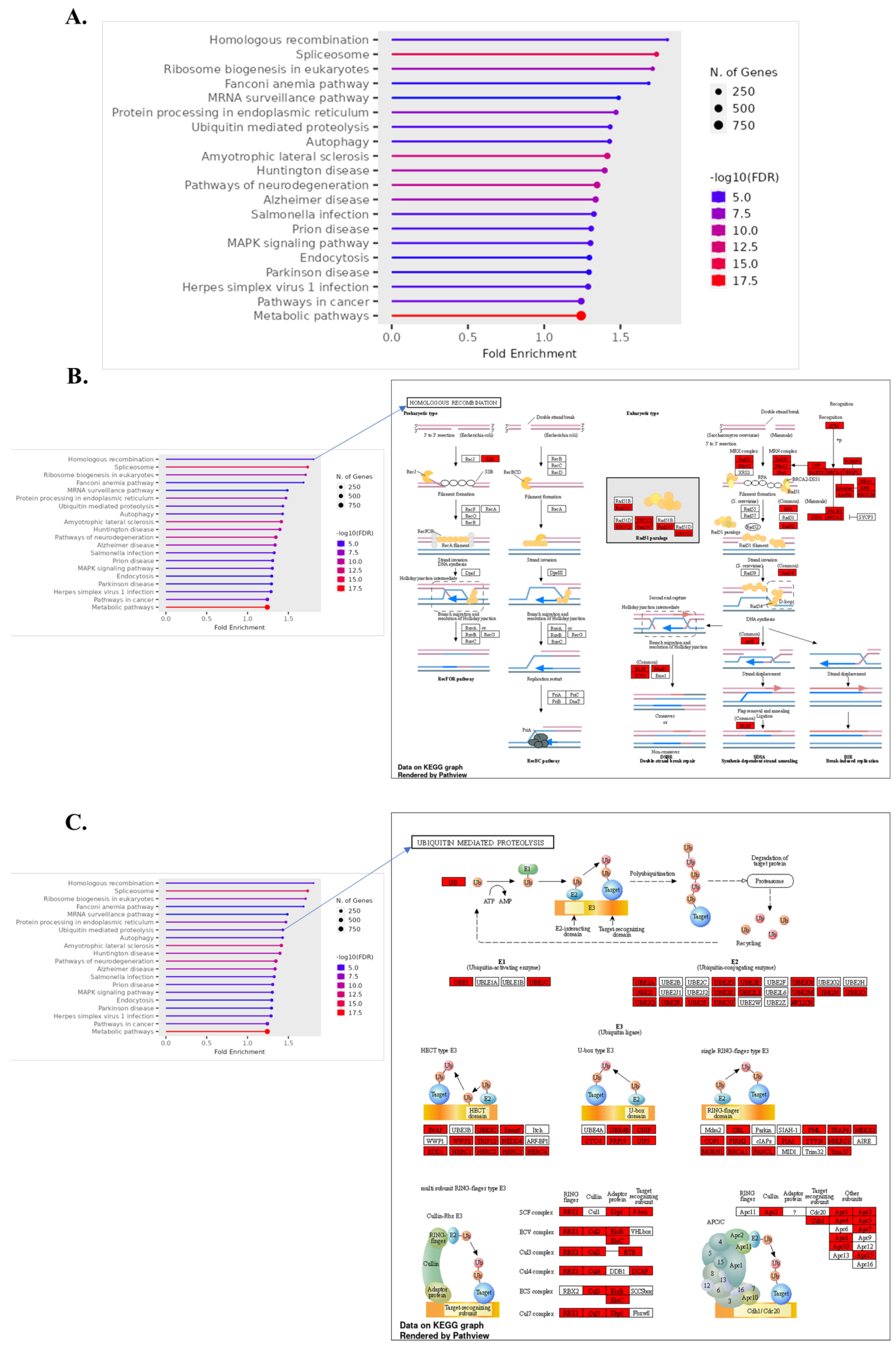 Biomolecules 14 00678 g006a