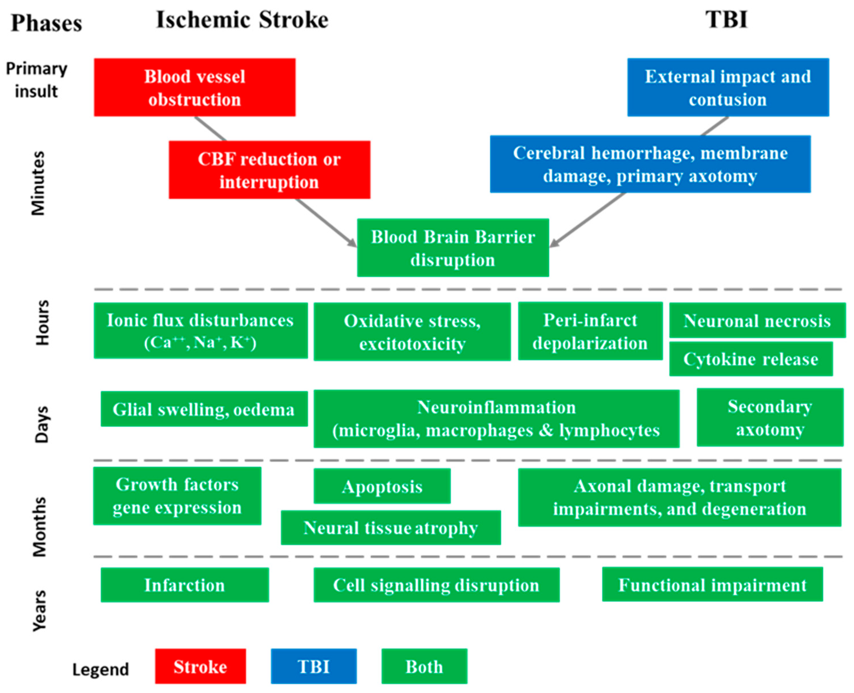 Biomolecules 14 00680 g002