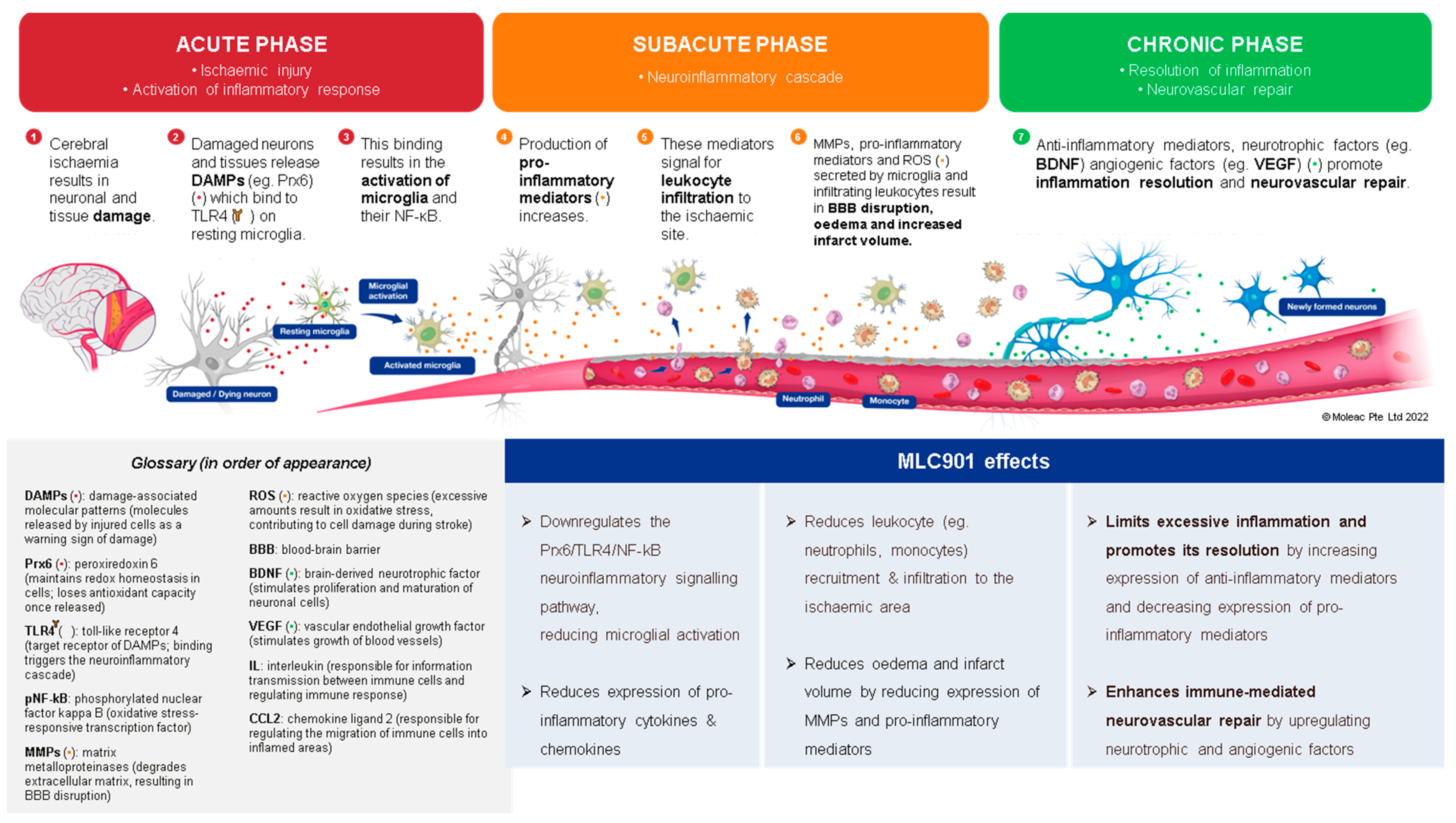 Biomolecules 14 00680 g004