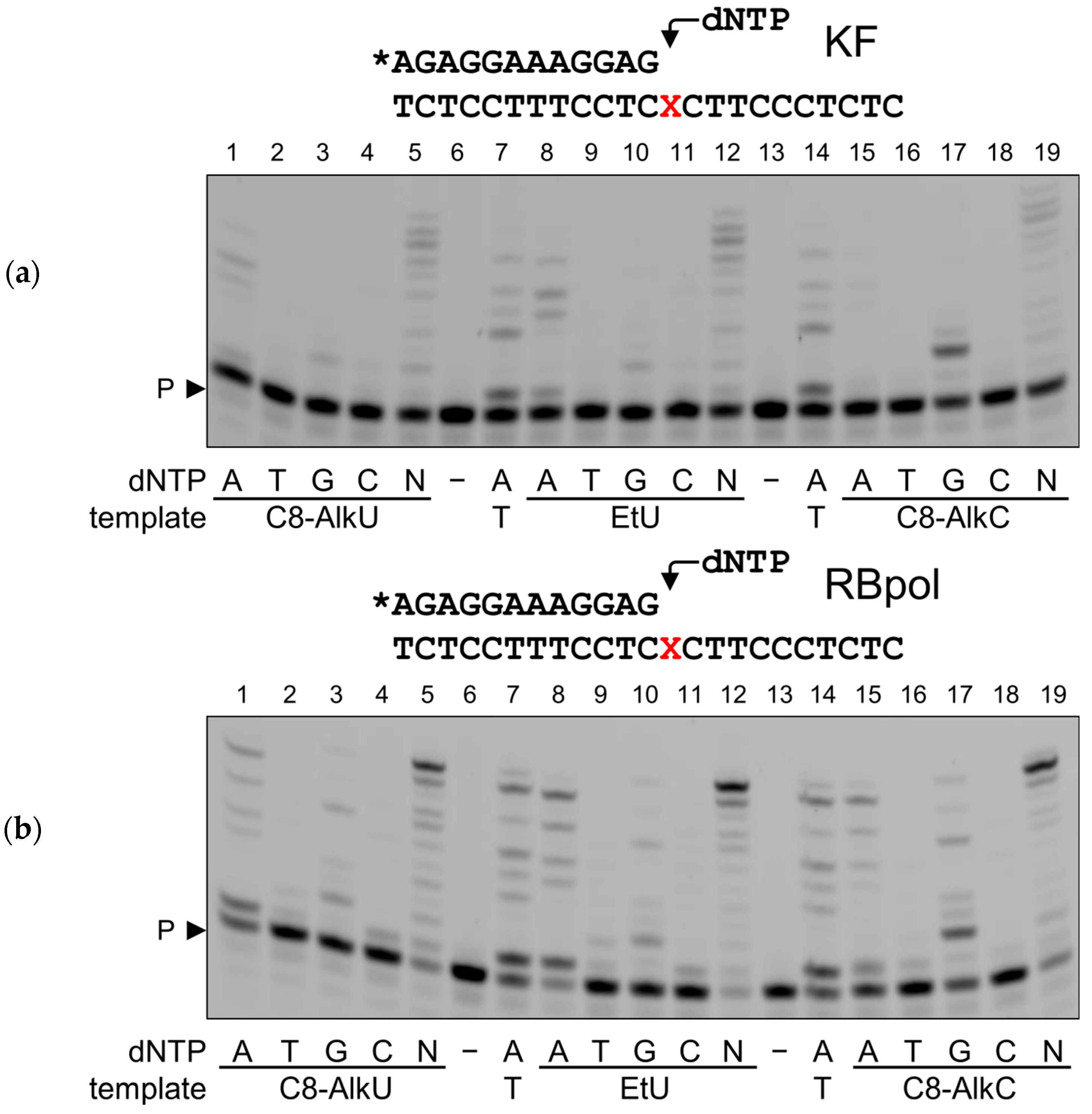Biomolecules 14 00681 g004