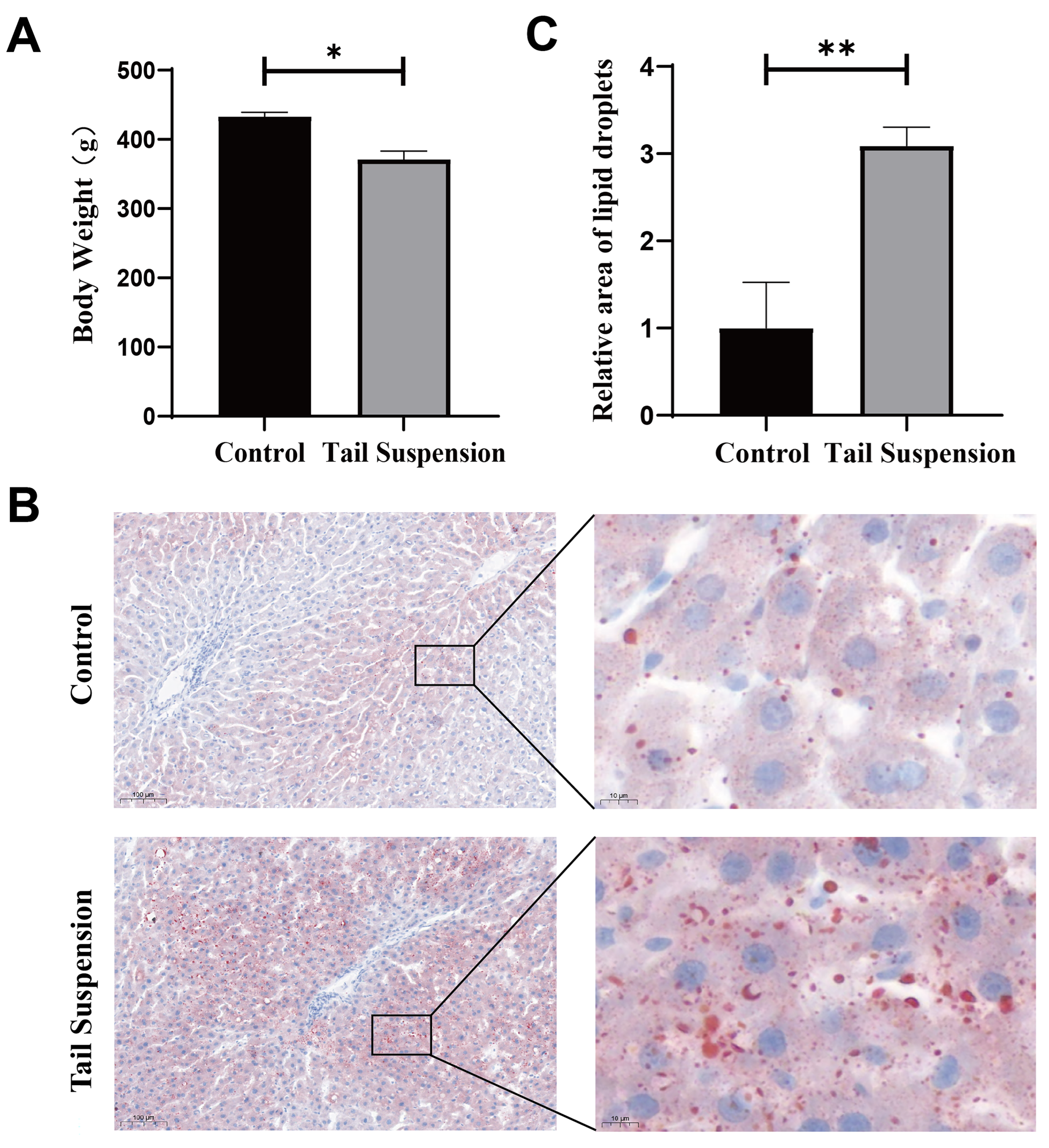 Biomolecules 14 00682 g001