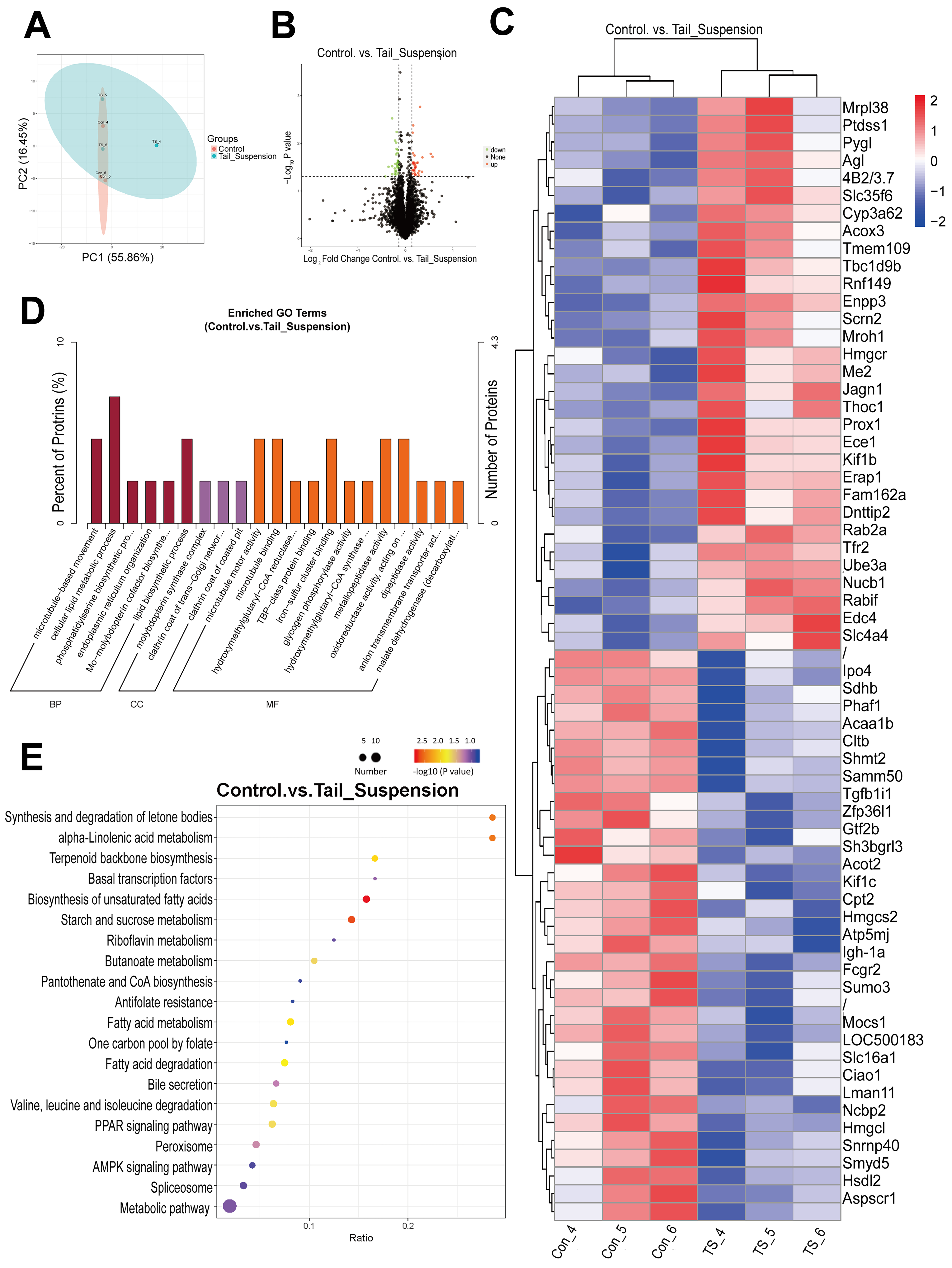 Biomolecules 14 00682 g003