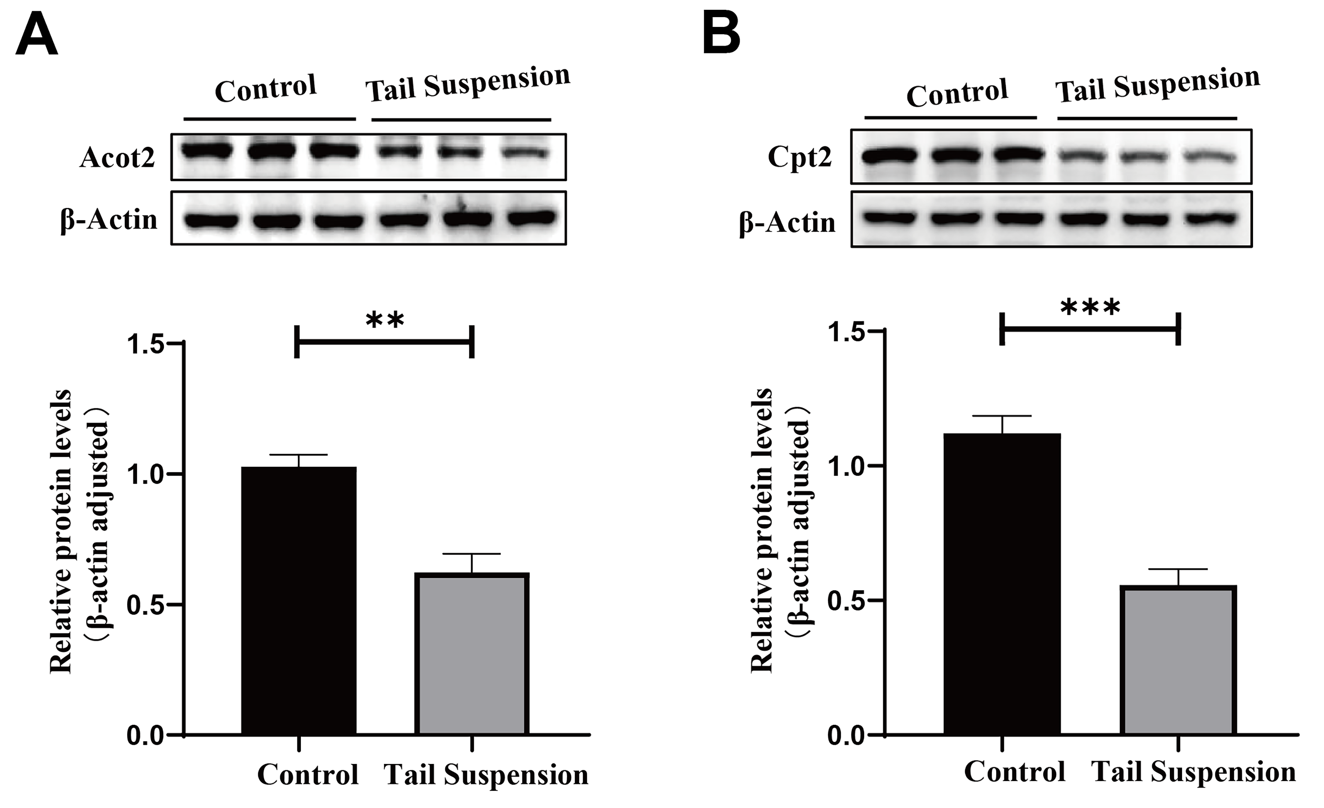 Biomolecules 14 00682 g006