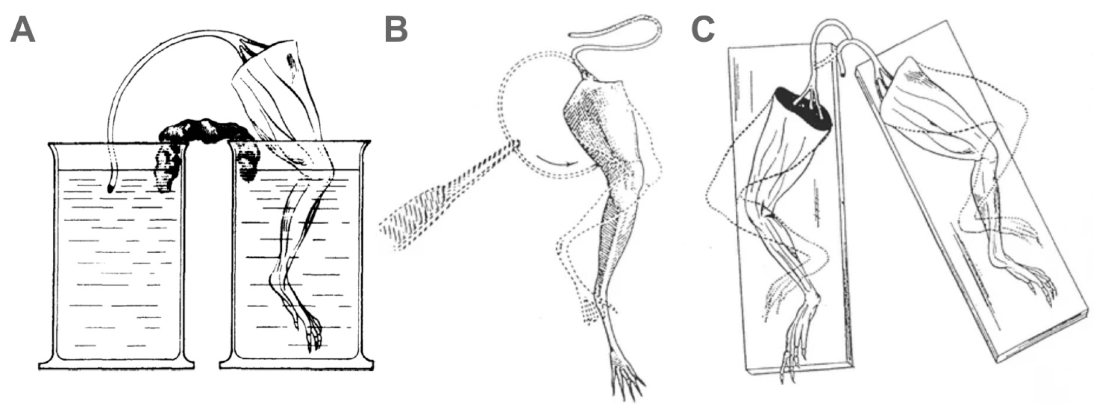 Biomolecules 14 00684 g002