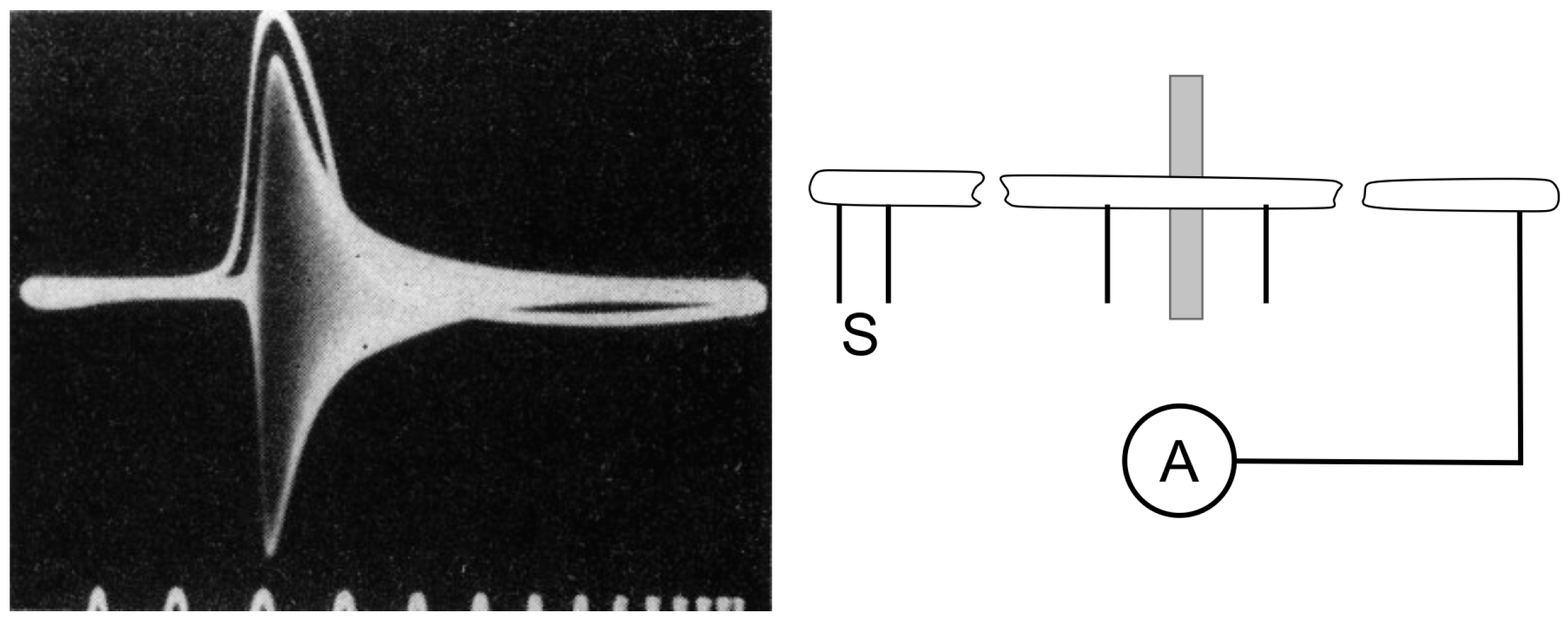 Biomolecules 14 00684 g004