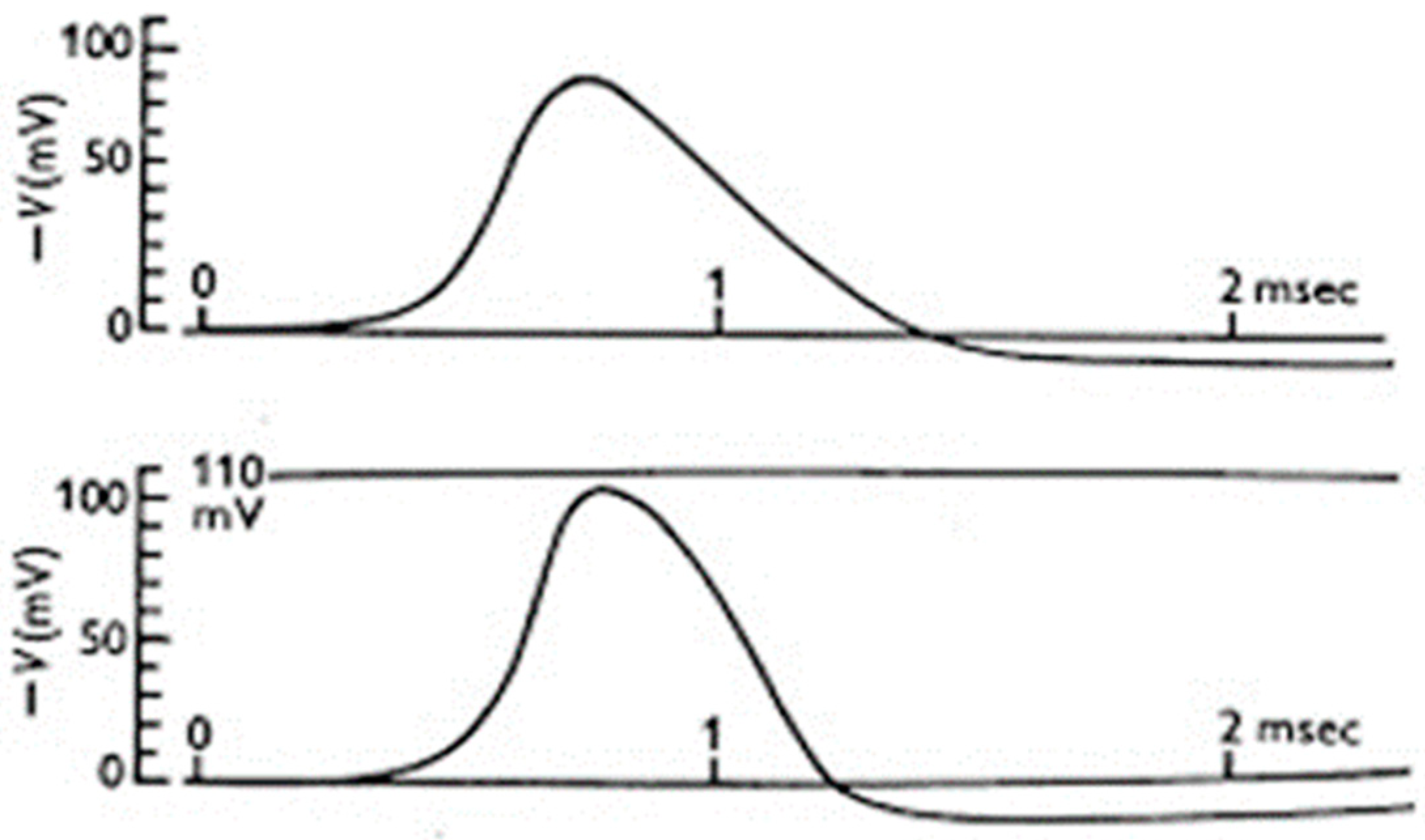 Biomolecules 14 00684 g007
