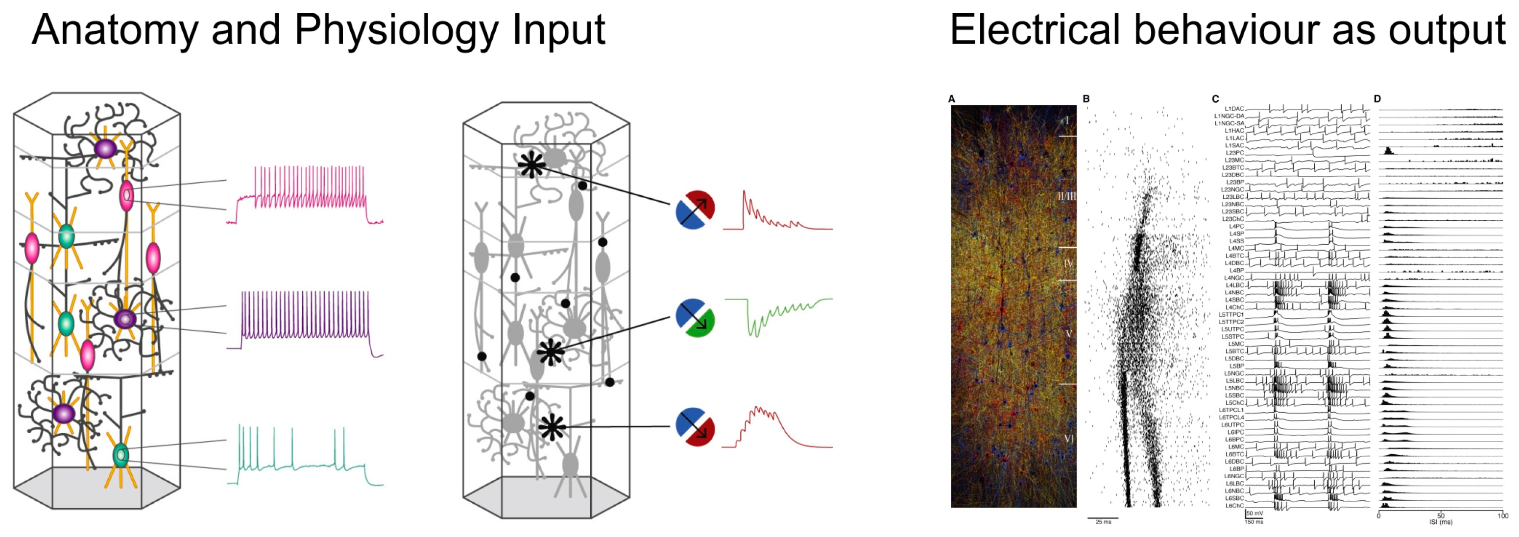 Biomolecules 14 00684 g008