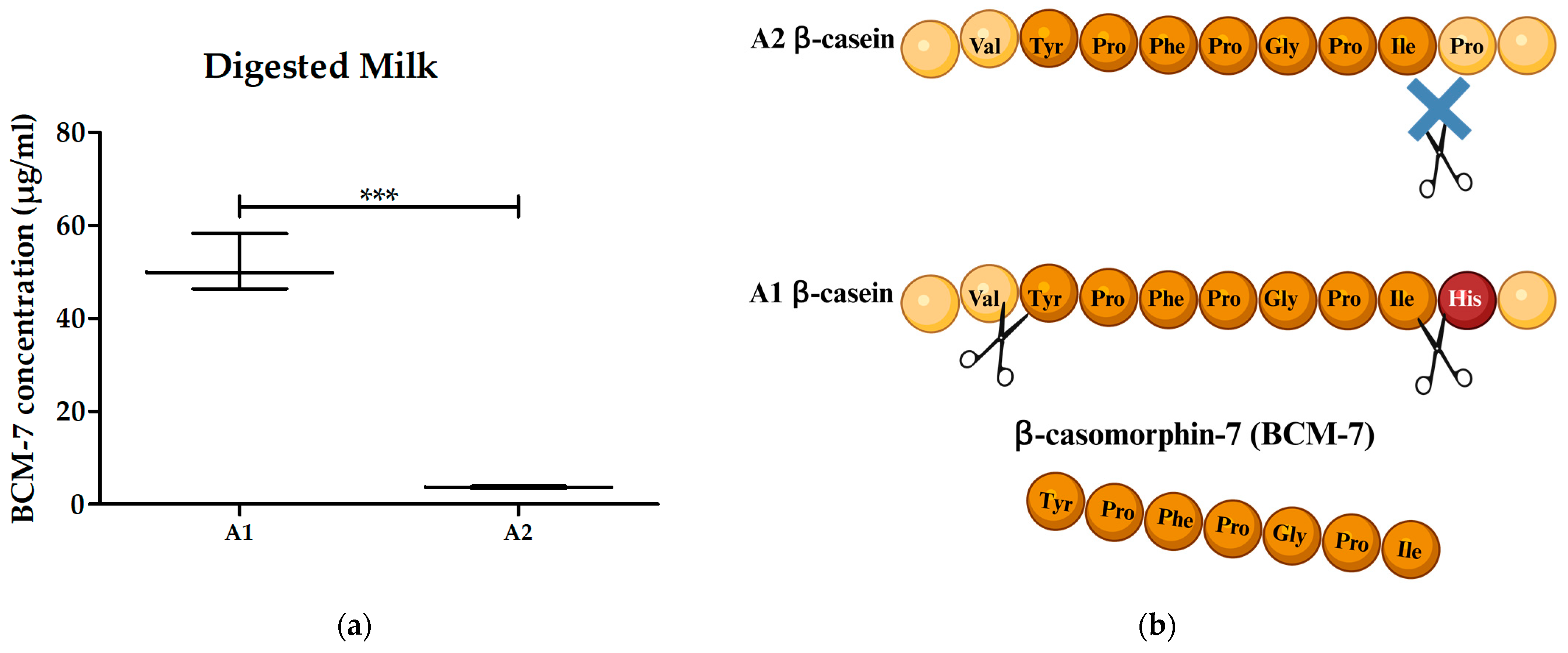 Biomolecules 14 00690 g002 Biomolecules 14 00690 g002