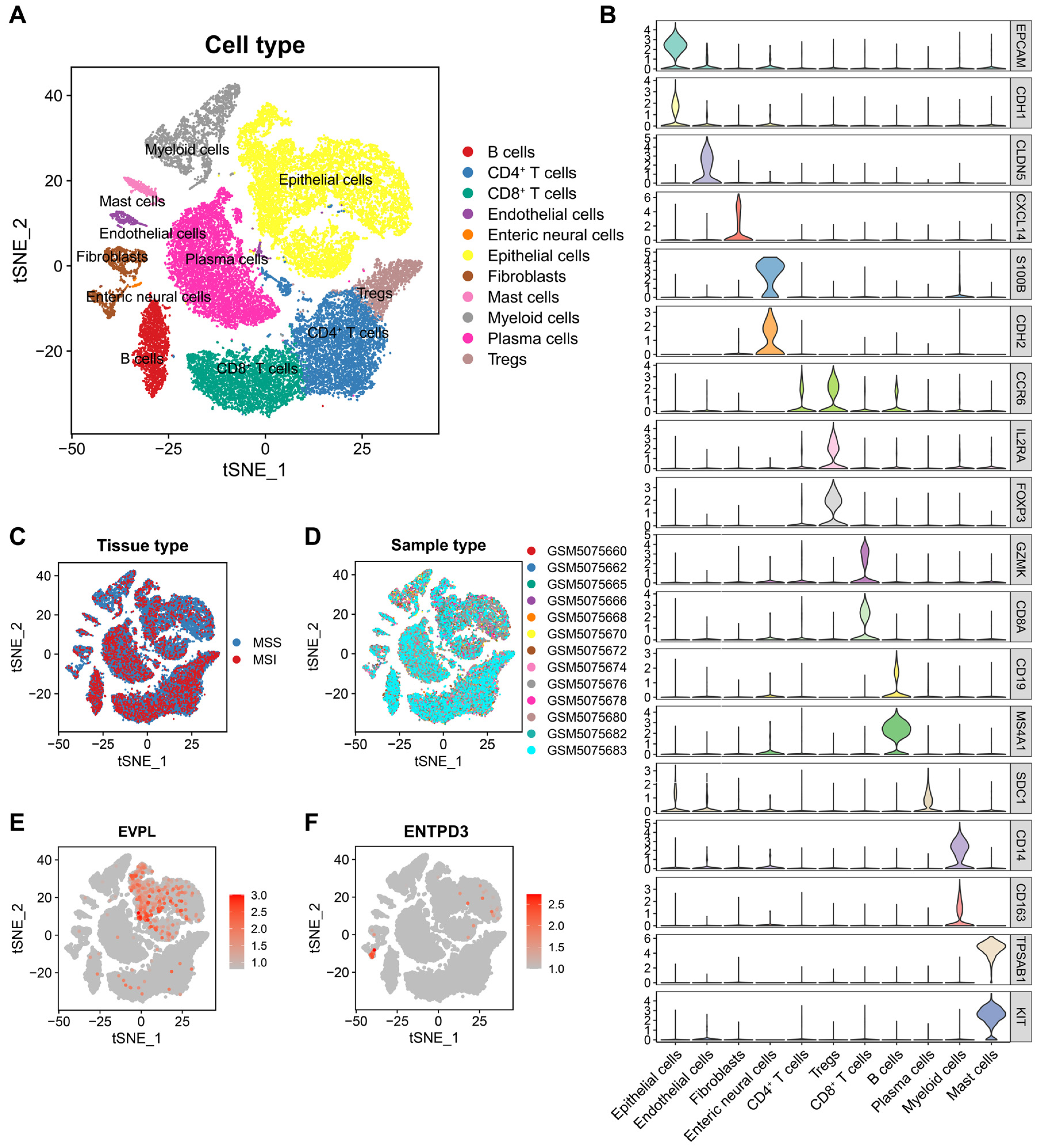 Biomolecules 14 00693 g006