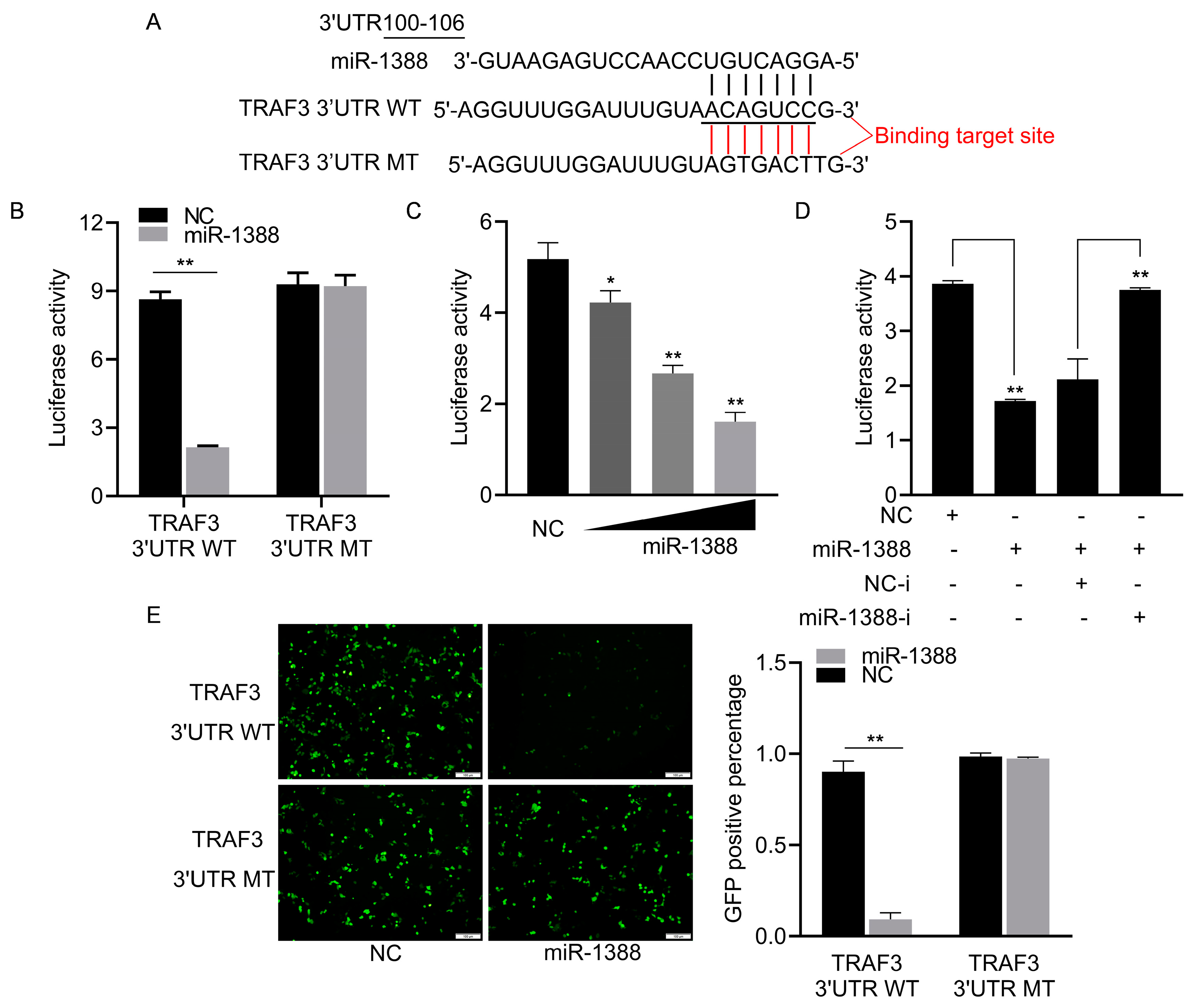 Biomolecules 14 00694 g003
