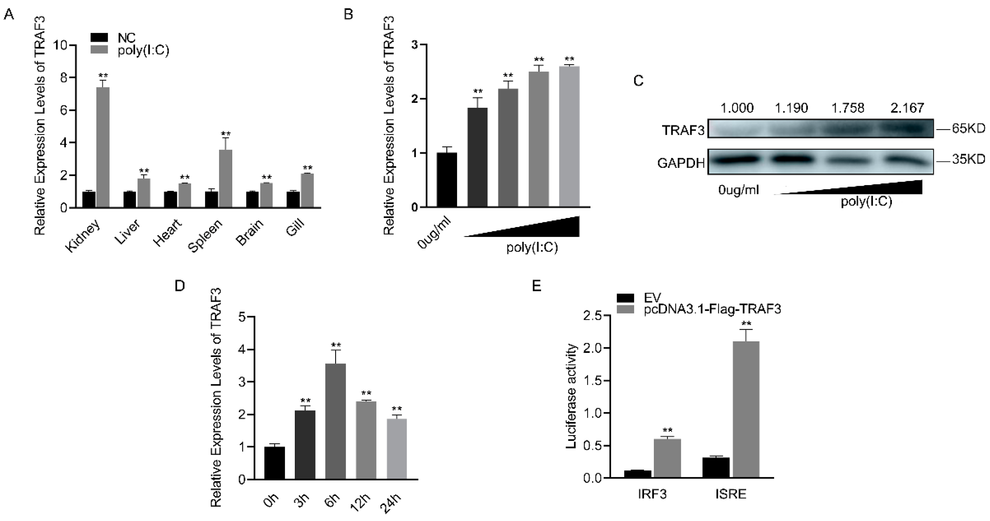 Biomolecules 14 00694 g004