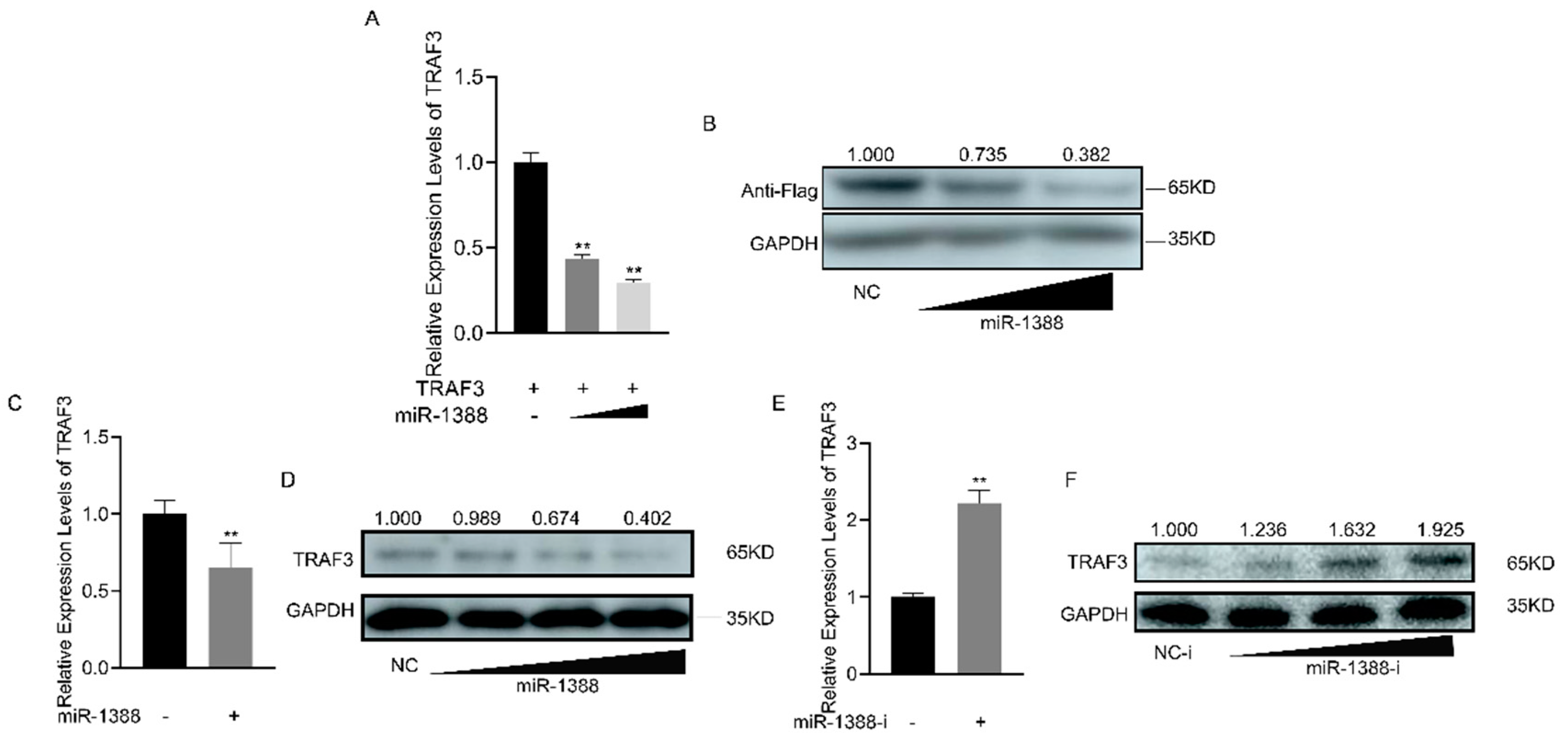 Biomolecules 14 00694 g005