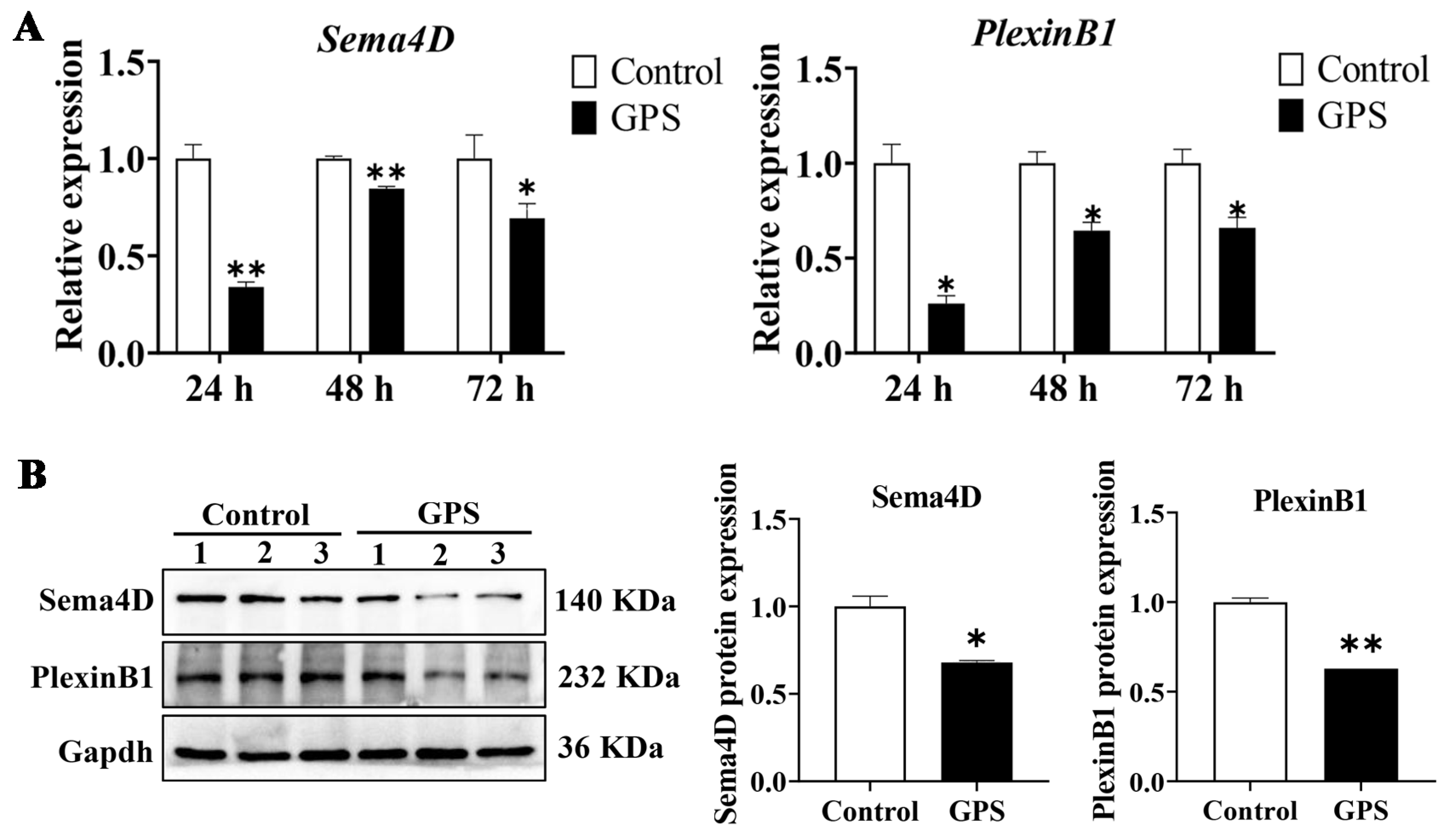 Biomolecules 14 00696 g003
