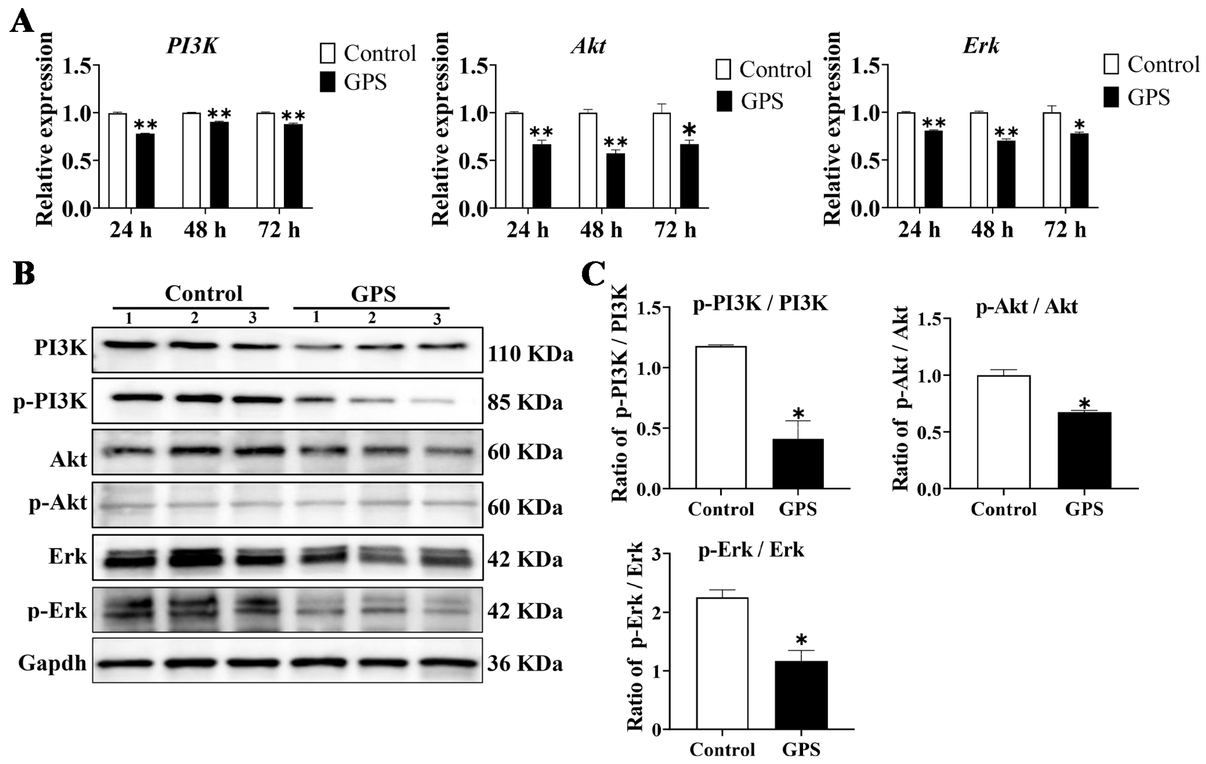 Biomolecules 14 00696 g006