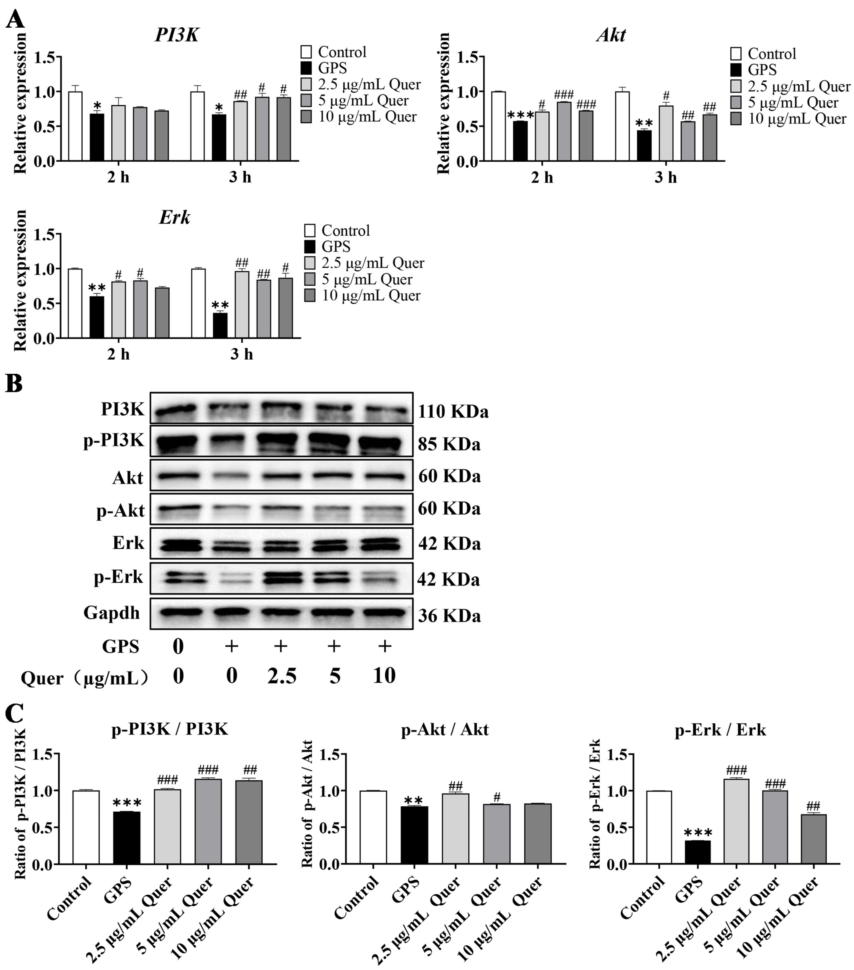 Biomolecules 14 00696 g011