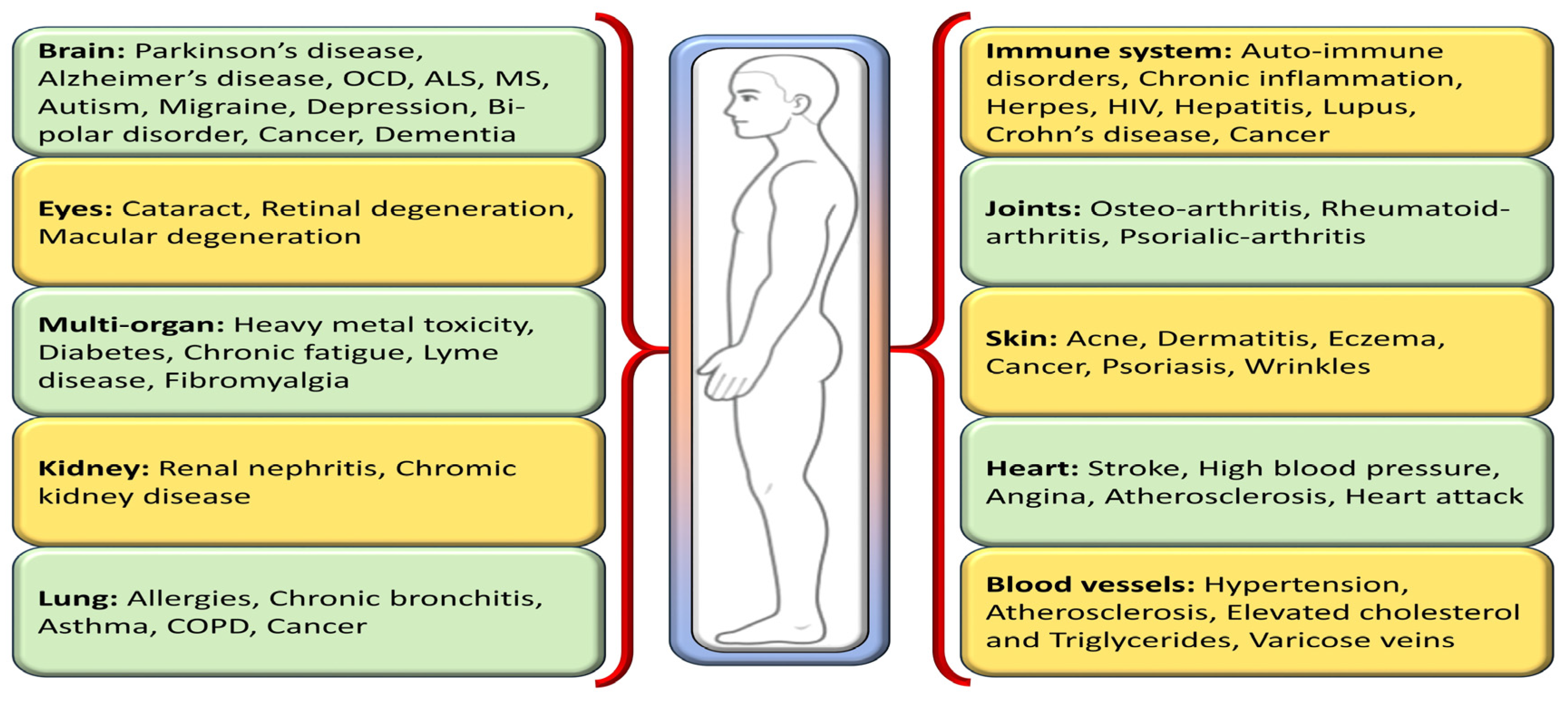 Biomolecules 14 00697 g002 Biomolecules 14 00697 g002