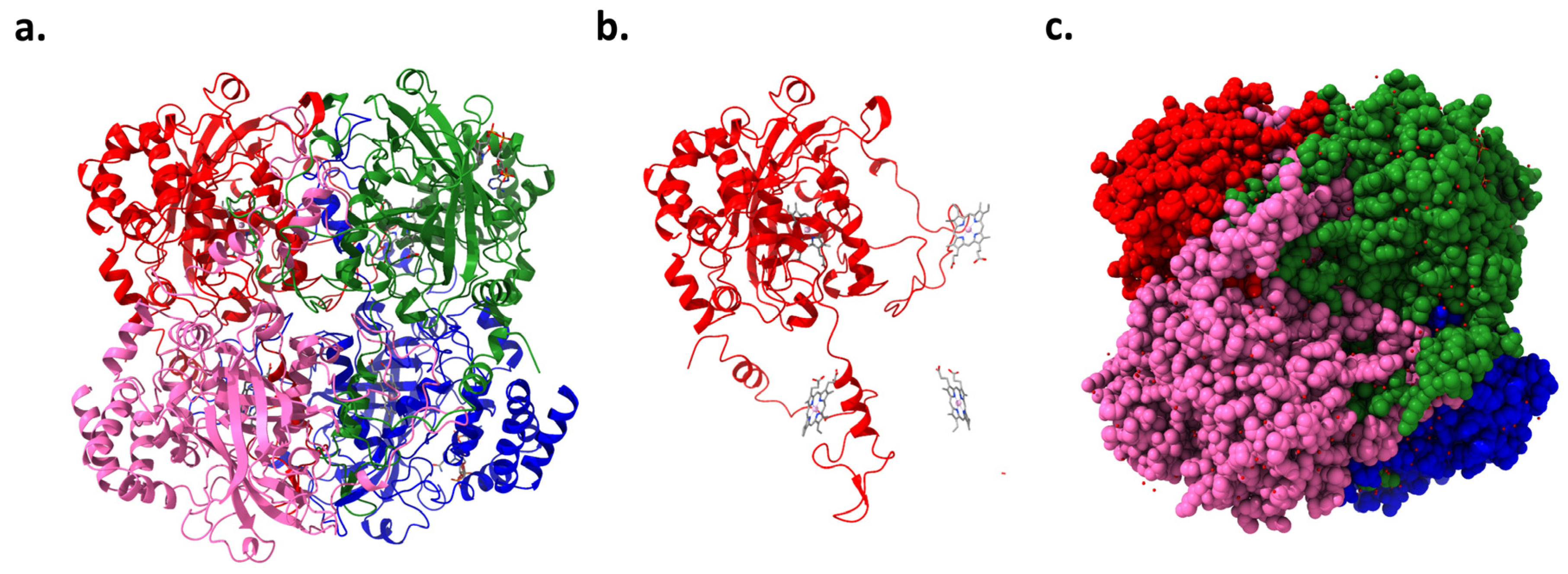 Biomolecules 14 00697 g003 Biomolecules 14 00697 g003