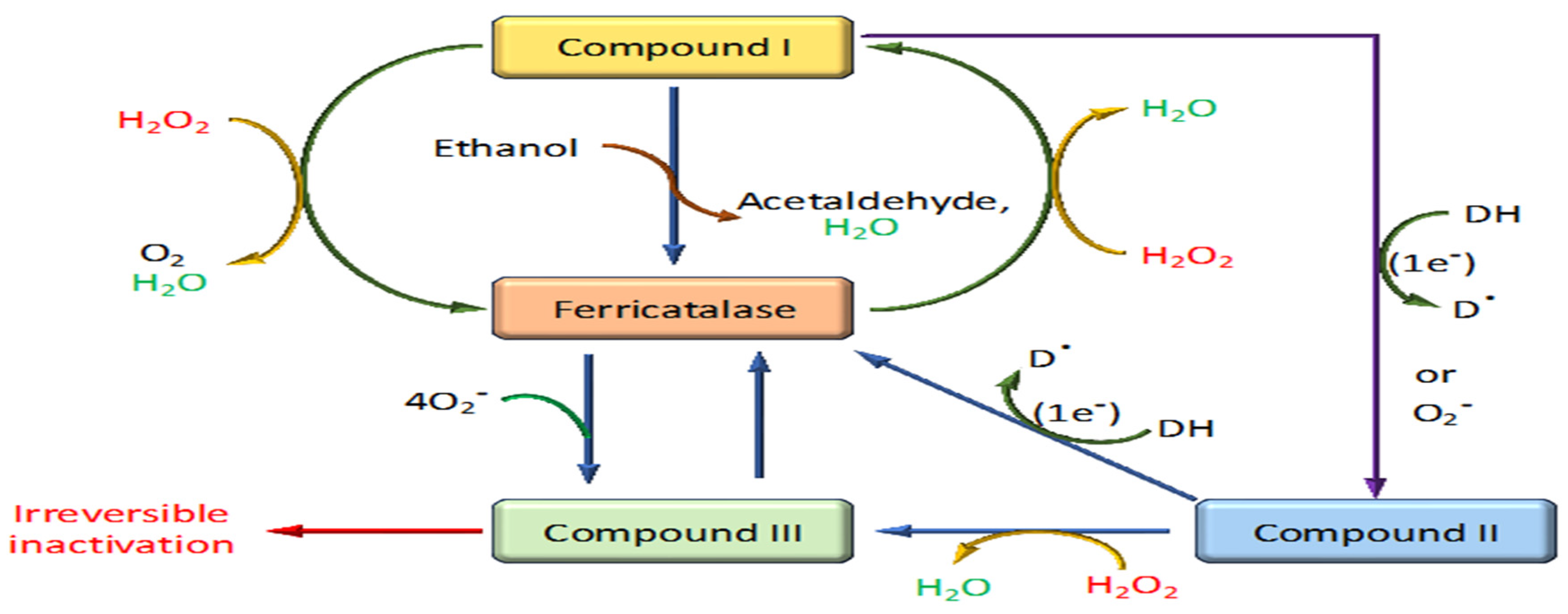 Biomolecules 14 00697 g004 Biomolecules 14 00697 g004