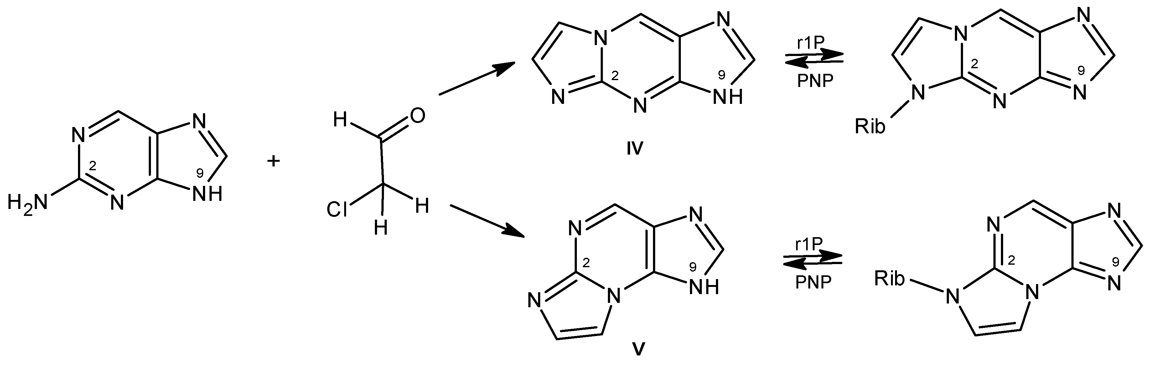 Biomolecules 14 00701 g003 Biomolecules 14 00701 g003